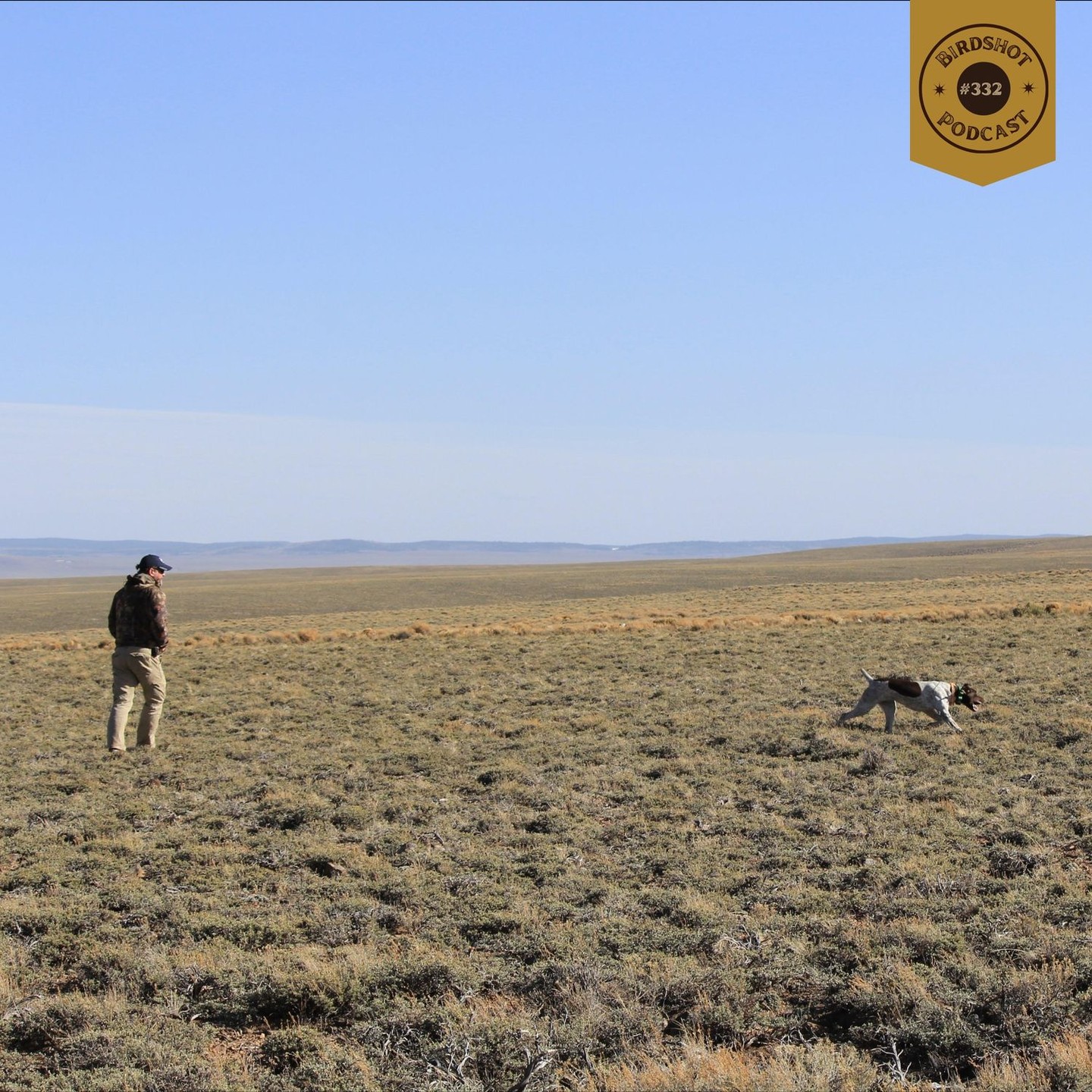 🎙️ Episode #332 | Hunting & Researching Upland Birds on Working Western Landscapes with Dr. David Dahlgren
–
Sagebrush, science, and pointing dogs. This week’s episode explores the fascinating intersection of wildlife research, citizen science, and upland bird hunting with Dr. David Dahlgren of Utah State University. From sage grouse studies to the role of ranchers in conservation, this one’s full of insight for hunters who care about the land.
–
🎧 Tap the link in bio to listen + watch
📍 Available on Spotify, Apple Podcasts & YouTube
-
💥 Presented by:
@onxhunt | Use code BSP20 to save 20%
-
💥 Supported by:
@final.rise
@upland_gun_company
@marshwearclothing
@trulockchokes | Use code BS10 to save 10%
_
#birdshotpodcast #onxhunt #uplandhunting #grousehunting #sagegrouse #citizenscience #birddogs #wildlifeconservation #workinglands #gundogs #pointingdogs #rangeland #birdhunting #uplandresearch