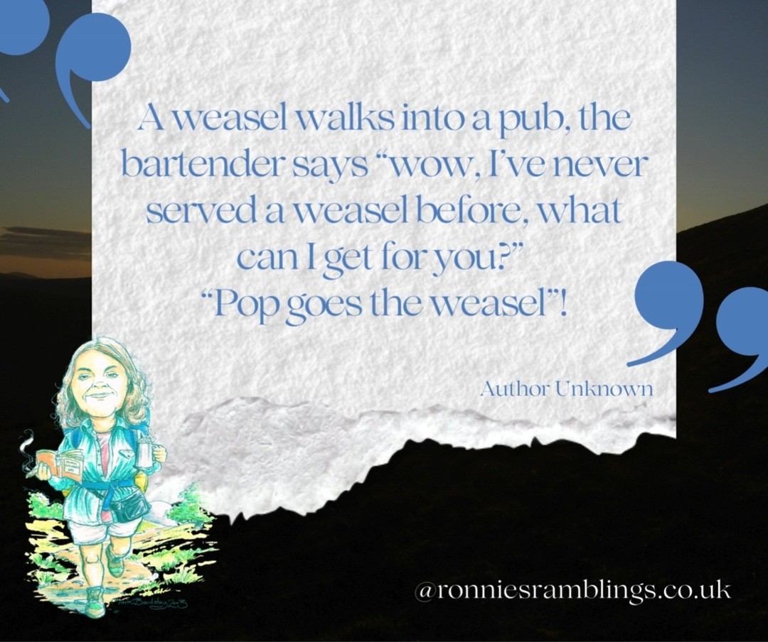 ✨ Weekly Smiles from Ronnie ✨
Ronnie’s notebooks are little treasure chests of joy, eccentric wisdom, and unexpected giggles — just the thing to brighten up your day!
#WeeklySmilesFromRonnie #RonnieQuotes #notebooklove #ronniesramblings #ronniesgifttous