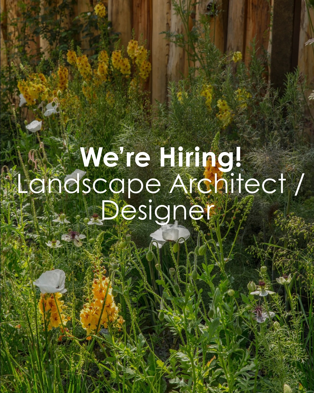 We’re looking for a talented Landscape Architect/Designer with a minimum of 2–3 years’ experience to join our team!
At Joe Perkins Design, we create sustainable, design-led gardens and landscapes across the UK and internationally.
This is an exciting opportunity to work on high-end residential and public projects, from concept through to completion, in a supportive, progressive and creative studio.
If this sounds like you, swipe through to learn more and email natalia@joeperkinsdesign.com with your CV + portfolio by 17th October 2025.
Full job description available on request.
⸻
ABOUT: Joe Perkins Design is a multi-award-winning landscape design consultancy, creating innovative outdoor spaces that celebrate the environment, wildlife, and biodiversity. Working across the UK and internationally, we partner with clients who share our passion for sustainable and visionary design. Discover more about our work at: www.joeperkinsdesign.com
📸: @clivenichols