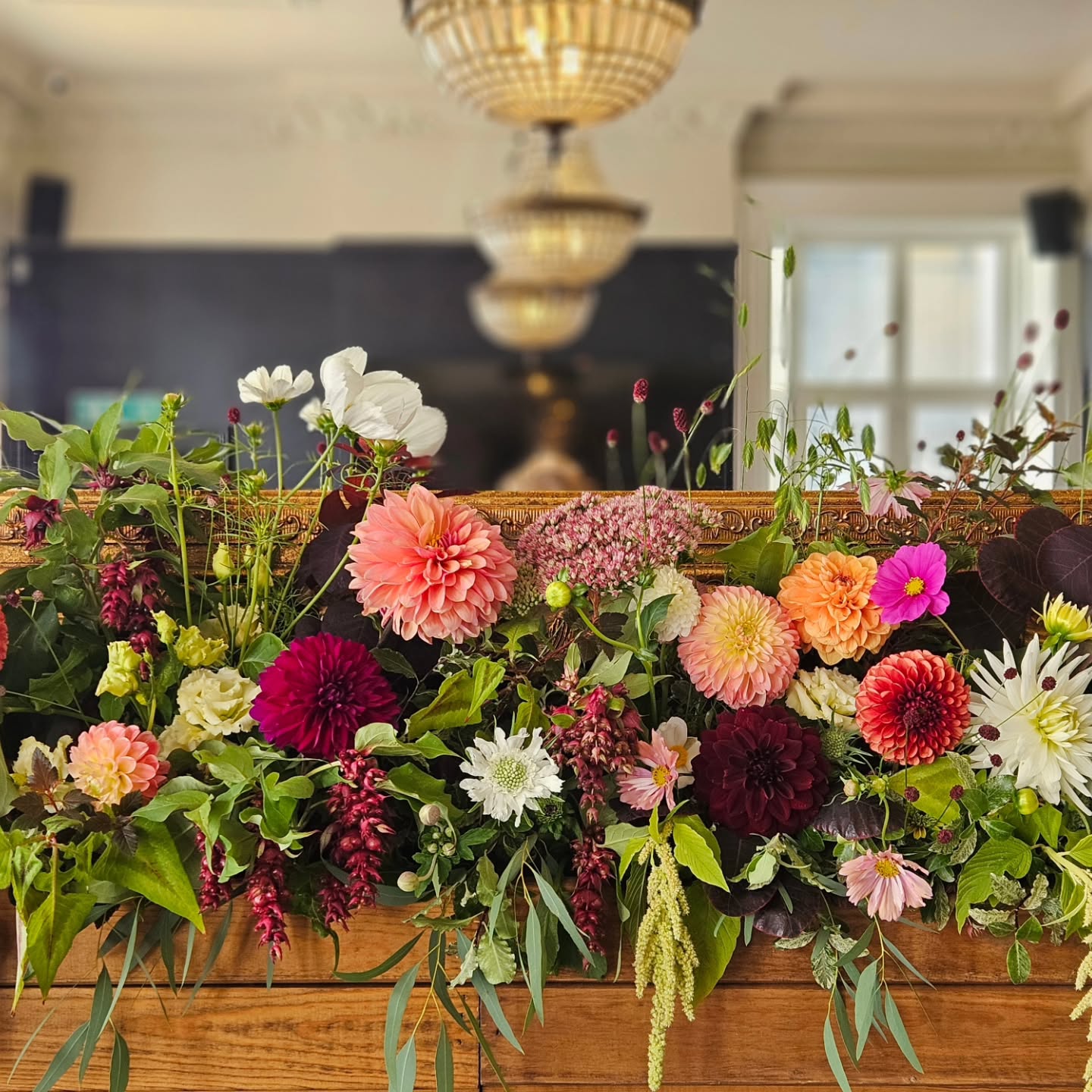 Oh how I love a Dahlia! 🌿
And what a joy to work with these beauties from @herbanddahlia to create this statement mantle arrangement for Hannah and Alex's wedding reception today. Dreamy brief to work with!
The boxes are outdoor planters lined with pond liner and then have a mix of chicken wire and flower pins for the mechanics. So simple to do, and you can just reuse again and again. Easy to transport and just top up with water and you're good to go!
#londonweddings
#londonweddingflorist
#nofloralfoam
#weddingflower
#surreyweddingflorist
#londonweddingflorist
#carshalton
#carshaltonbeeches