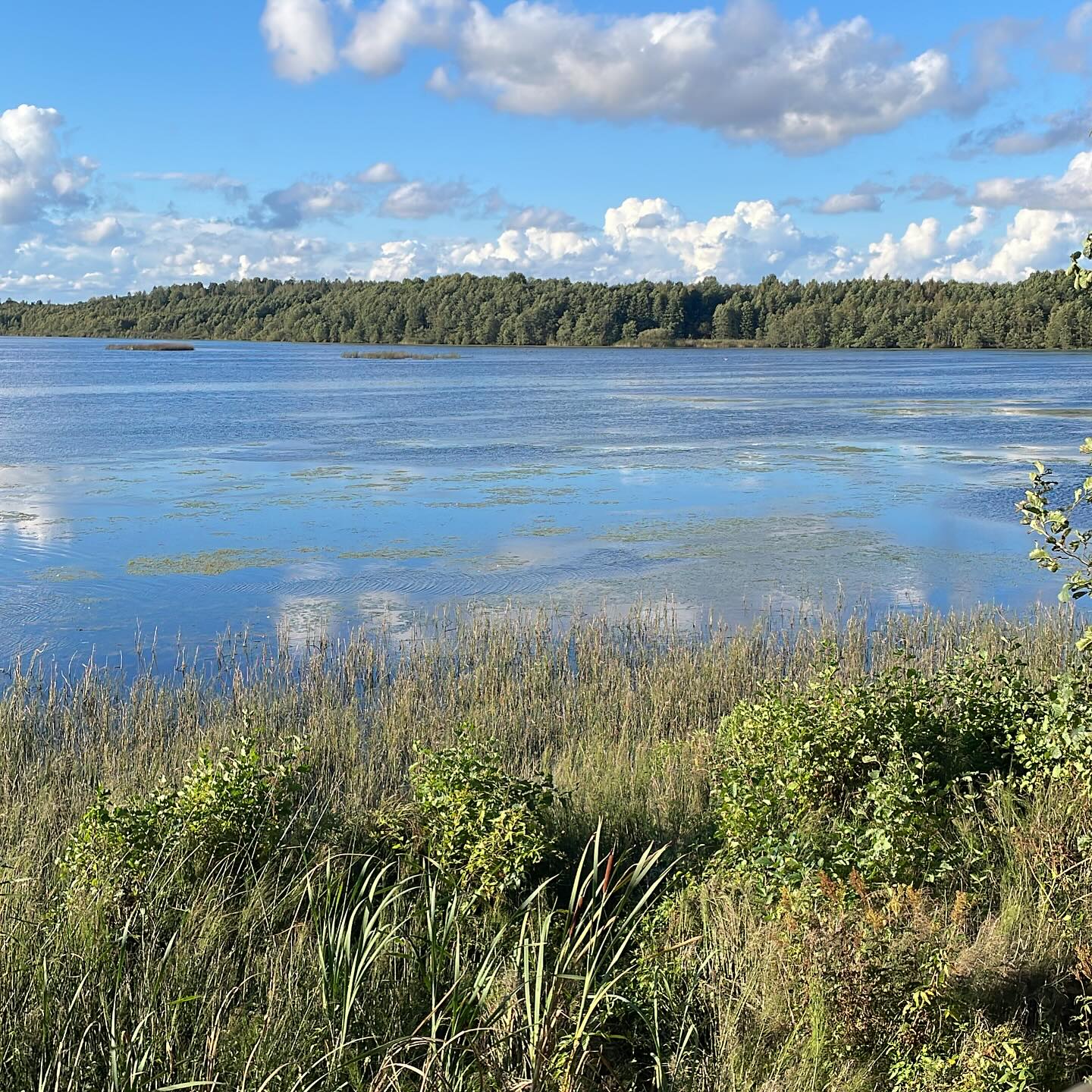 Matalajärven tilanne. +18 C