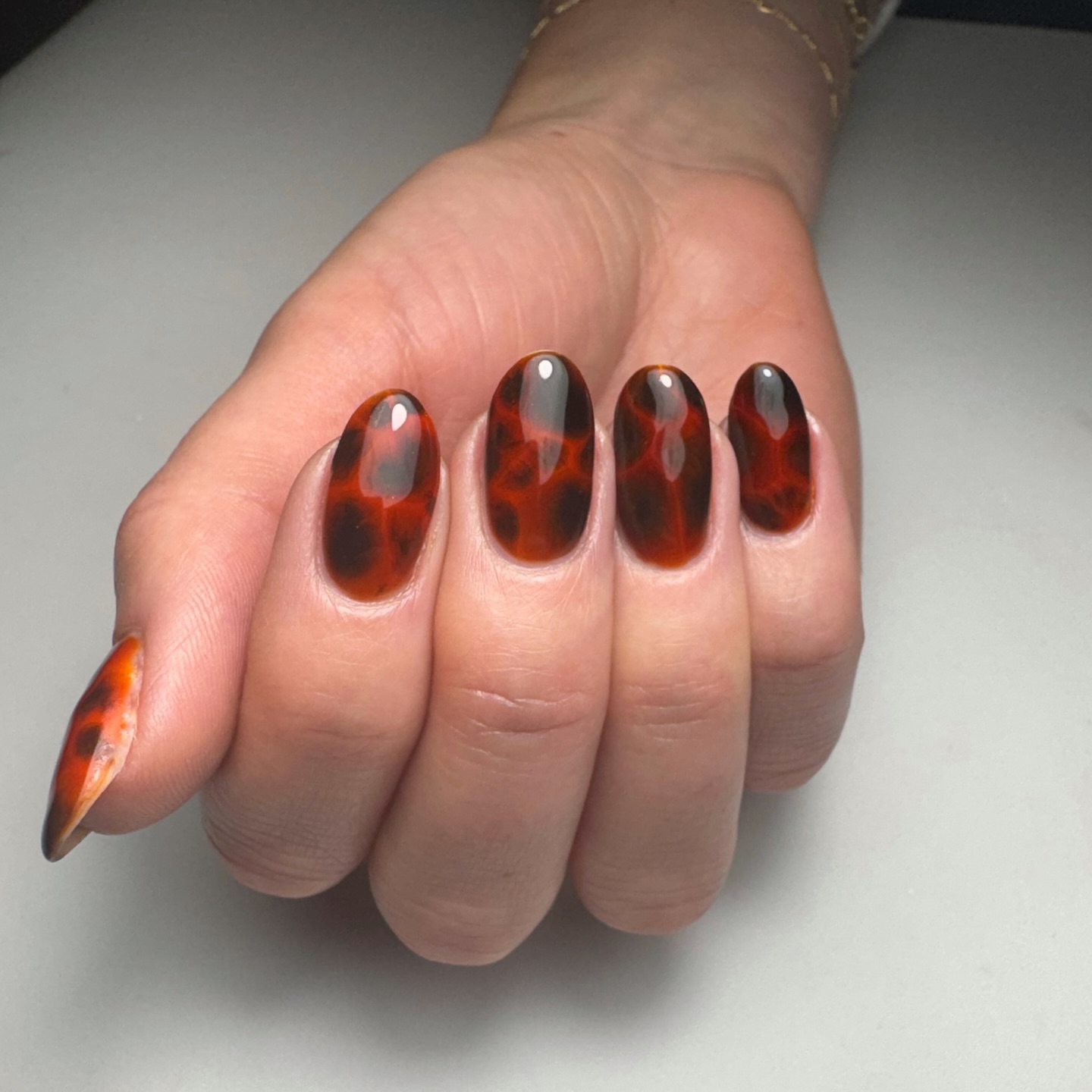 Tortie season is here and I’m so happy about it