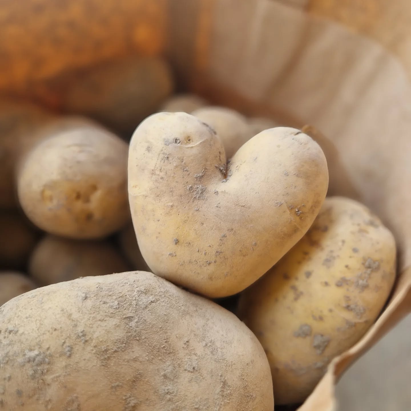 Hädöpfel-Härzli 😍