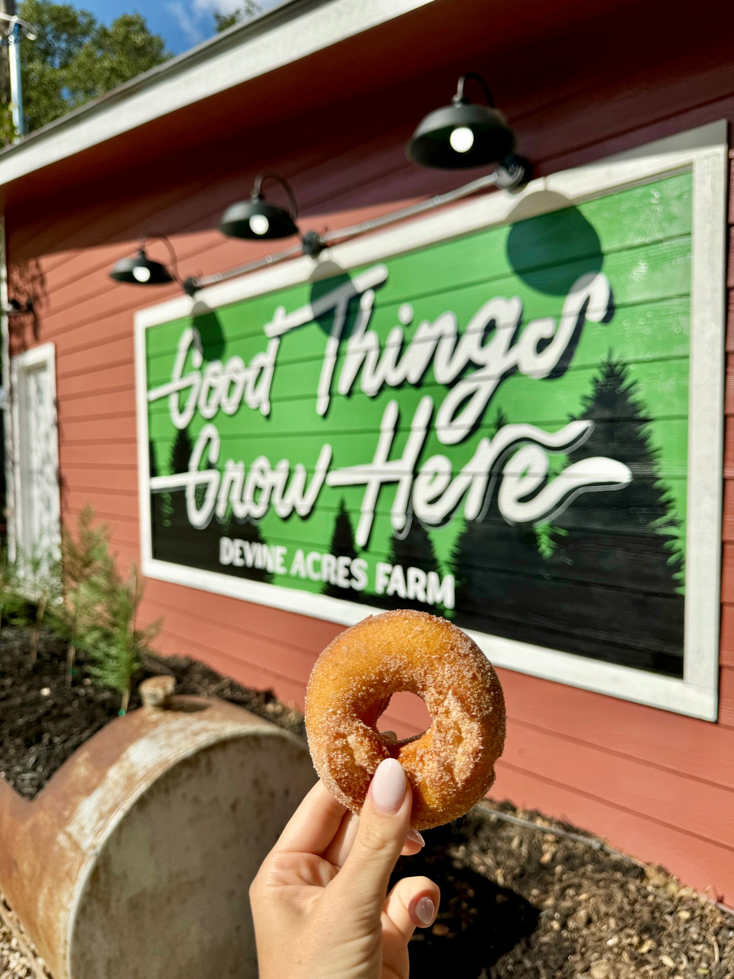 2 weeks 'til weekends get a wholllllle lot more fun, y'all!