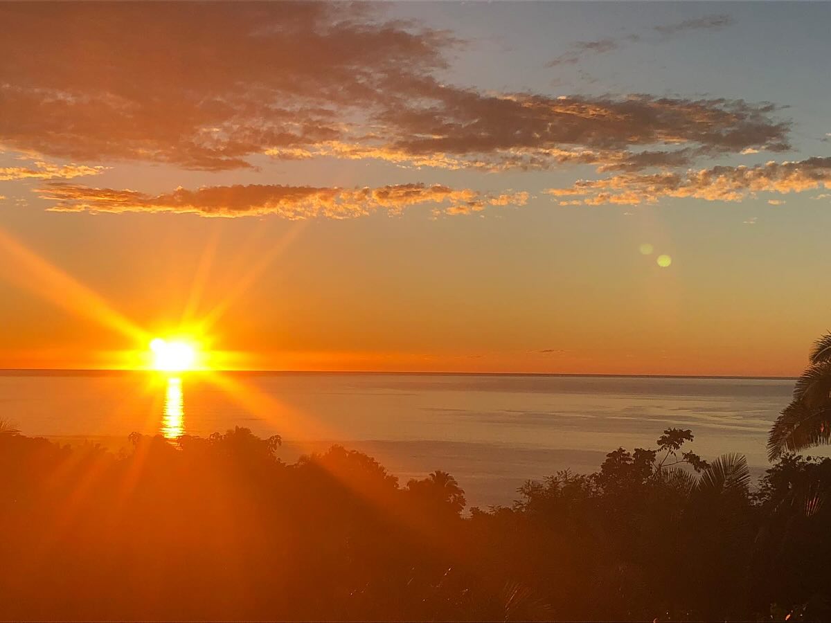 🌅When was the last time you turned off your phone and dropped into the natural world? Not just for a moment — but long enough to hear your breath, feel your nervous system exhale, and remember what it means to simply be.
After a restful green season, Tailwind Jungle Lodge reopens October 20th — vibrant, revitalized, and ready to welcome you back to the heart of tropical nature.
💚 The jungle invites transformation, joy, and peacefulness. Maybe it’s the ocean, the birdsong, the wild trails… or simply the space to breathe again.
🌴This season we have another epic line-up of retreats coming your way! We’ll kick things off with Rewild & Rewise with Angela Mason.
📅 Nov. 21–26, 2025 @wild_guidance
Then we welcome back Return to Health with Chantill Lopez + Anne Bishop — a women’s gathering rooted in community, nervous system support, and joy. @embodiedbusinessinstitute
📅 Dec. 2–7, 2025
👀 Limited spaces available
The jungle is waiting for you. 🌿
#RewildAndRewise #ReturnToHealth #TailwindJungleLodge #EpicRetreats #RetreatInMexico #WomenWhoRetreat #JungleMagic #sanpancho #nayarit #wildpreneurs