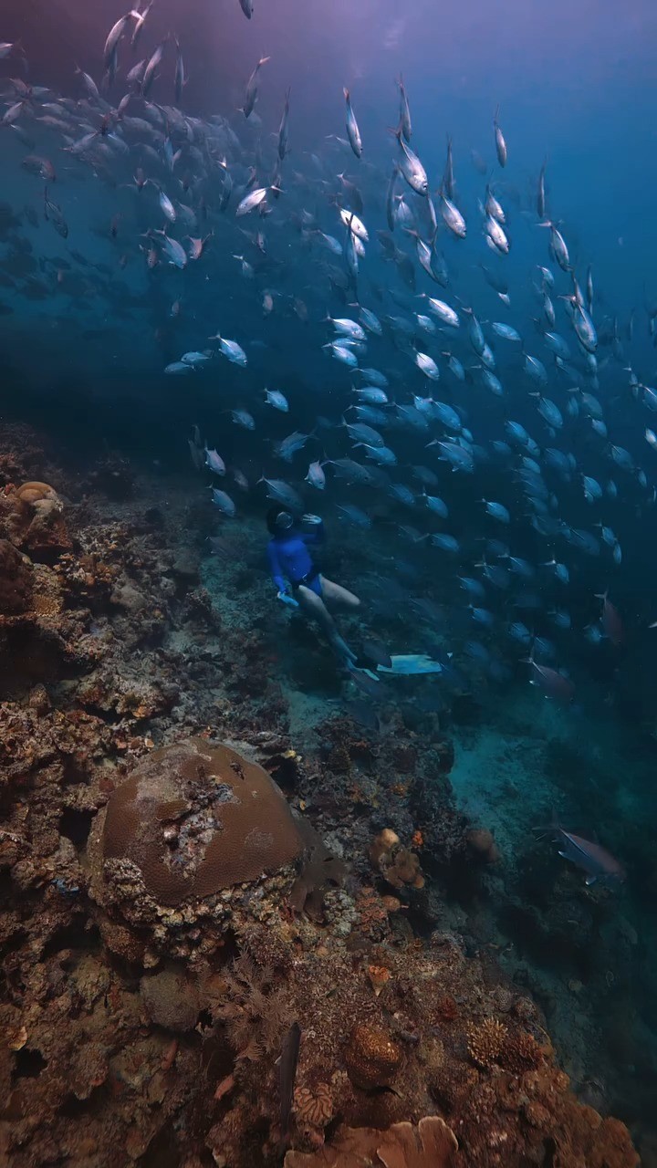 At SETIR, every dive is a reminder of how fragile and beautiful our world is. 💙
Swim, explore, and connect with nature… while helping us keep Palawan’s paradise alive. 🌿🐠
Visit sunlighthotelsandresorts.com to learn more.
📸 @beaalmeda
#DoseOfSunlight #SETIR #Palawan #Philippines #MarineConservation #SustainableSunlight