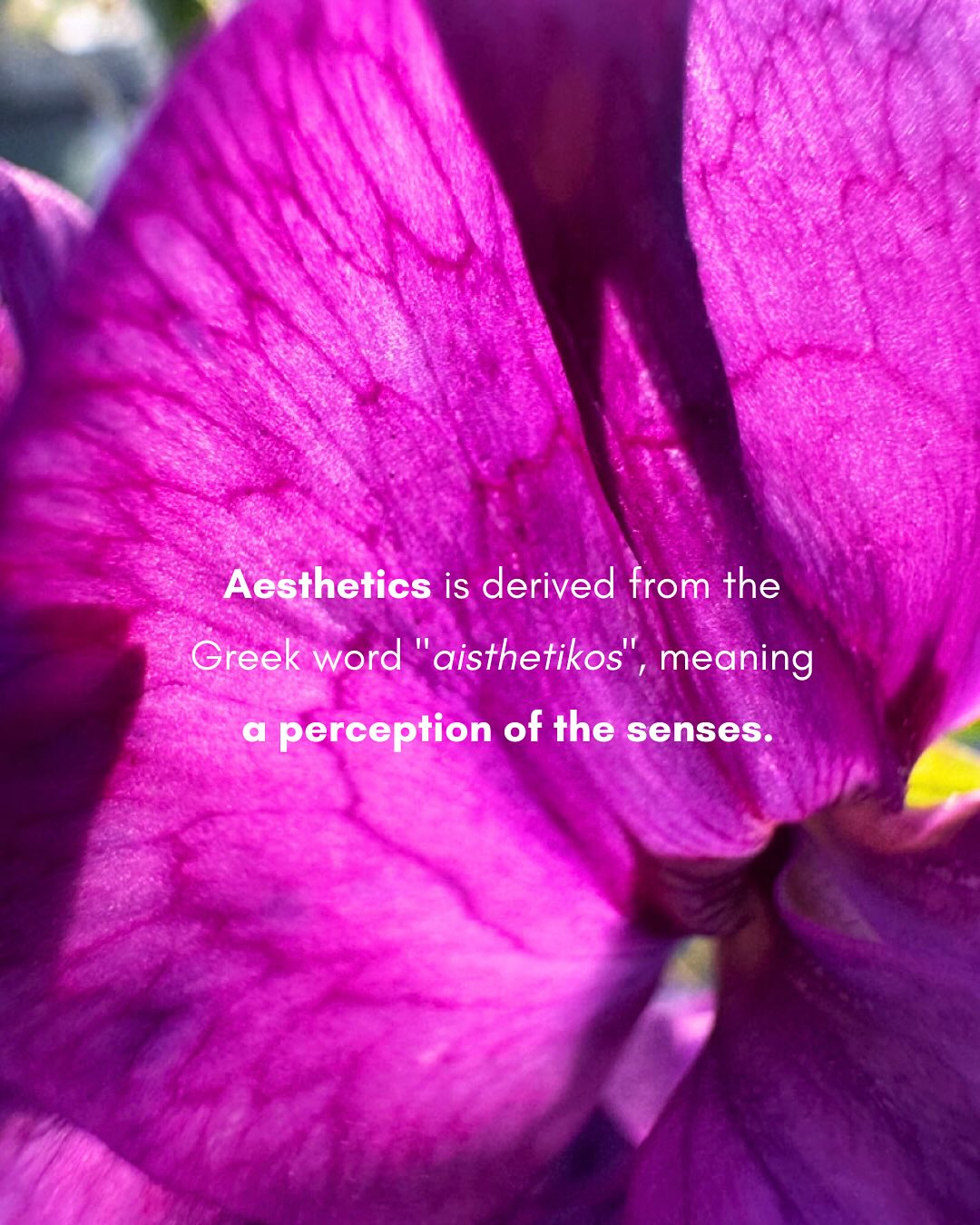 It’s not always easy to quiet the mind. After a busy day, I often find it hard to concentrate or fully relax. Over the years I’ve learned that to calm the mind, we must begin with the body.
It doesn’t require a full yoga class or workout. Sometimes it’s simply letting the senses rest on small details that draw you in. In these small encounters with beauty, the mind softens, the noises fade away, and we gradually return to presence.
This is the intention behind our upcoming course Aesthetic Paths to Flourishing: to cultivate aesthetic sensibility, to strengthen the body–mind connection, and to incorporate beauty into daily life that supports your well-being and flourishing.
Registration will CLOSE soon, feel free to reserve your spot and join us on a journey of exploring beauty.
Follow the link in bio to join the course.
#aesthetics #beauty #art #nature #wellbeing #flourishing #wellness #mindfulness #intention #artfulliving #selfcare #selfleadership #philosophy #onlinecourse #creativity #inspiration #joy #presence