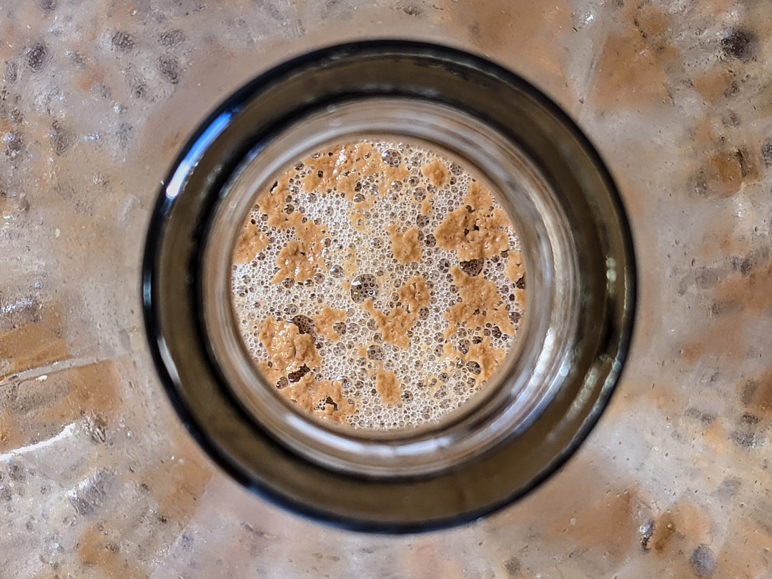 Primary fermentation: White must fermenting
#negramole #winemakingalgarve