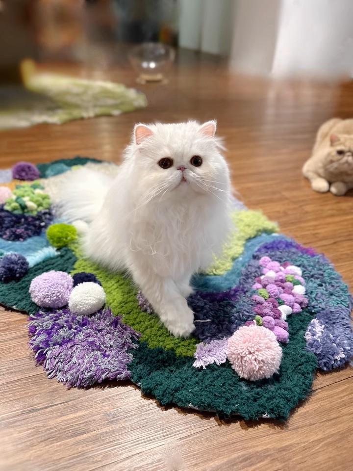 One kitty knows where the good spot is 😸💜 The other… still figuring it out. #MossRugCompetition