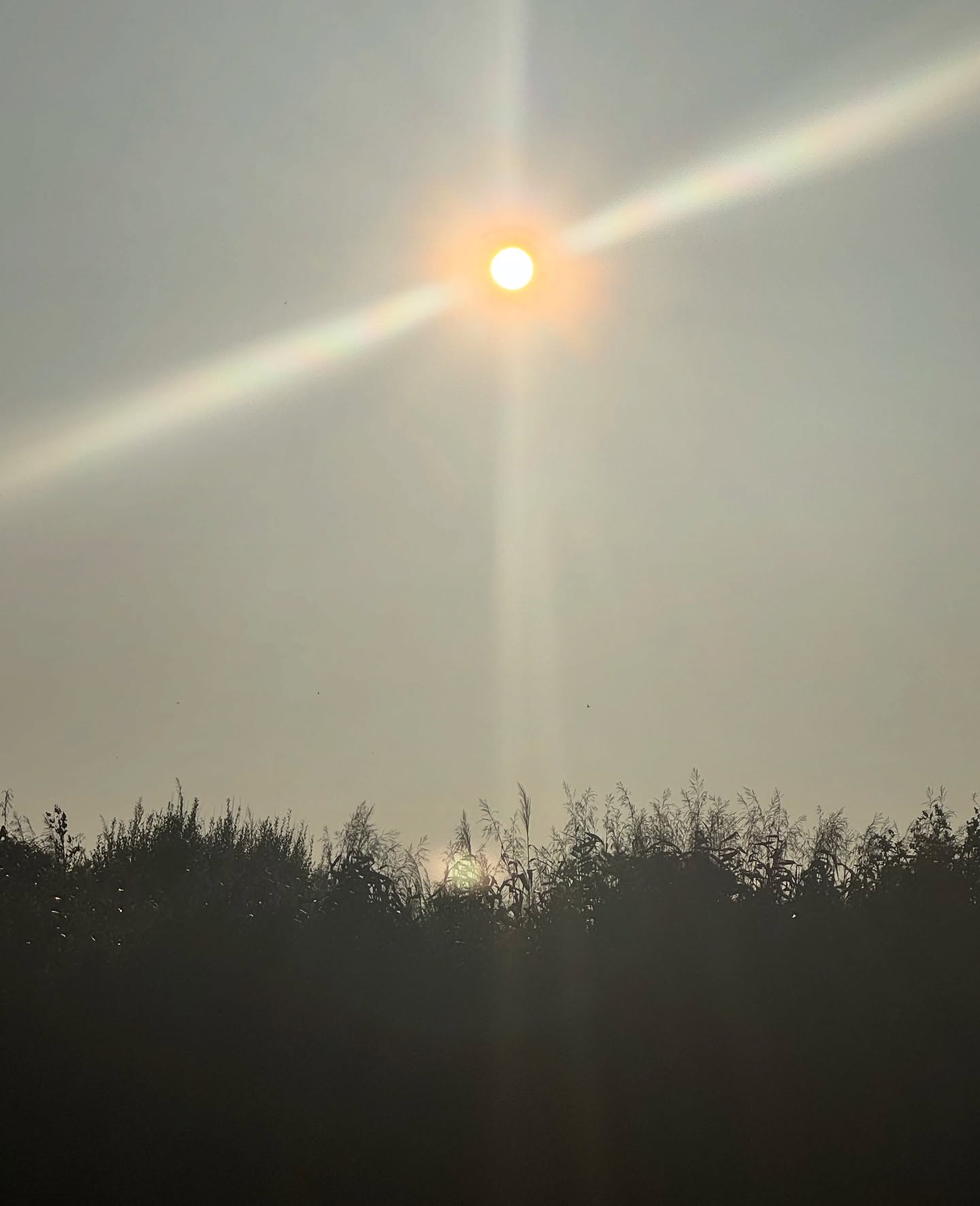 As the season shifts, I find myself gathering the pieces of summer I don’t want to forget.
Slow mornings and long walks,
pockets full of favourite pebbles,
soaking up the sun while it lasts,
and resting when the rain comes.
Fires glowing,
the hum of crickets in tall grass,
campervans and sleeping under canvas,
apple trees heavy with fruit,
blackberries staining our fingers,
tomatoes still warm from the vine.
Evening swims under stormy skies,
sunsets spilling across the fields,
river water lapping at the shore,
Singing bowls carrying songs into the night.
Adventure and rest.
Chaos and beauty.
And everything in between.
Thank you summer.
I gather up your medicine
And I let you go.
Ready for the next turning.
What are you keeping and / or releasing at the moment loves?
What is nourishing you and where could you make some space?
Share with me where you are at 🧡
.
.
.
#endofsummer #september #seasonalliving #soulfulliving #slowdown #natureishealing #breatheinbreatheout #spiritualjourney #mumlifeuk #gather #tend #holisticliving