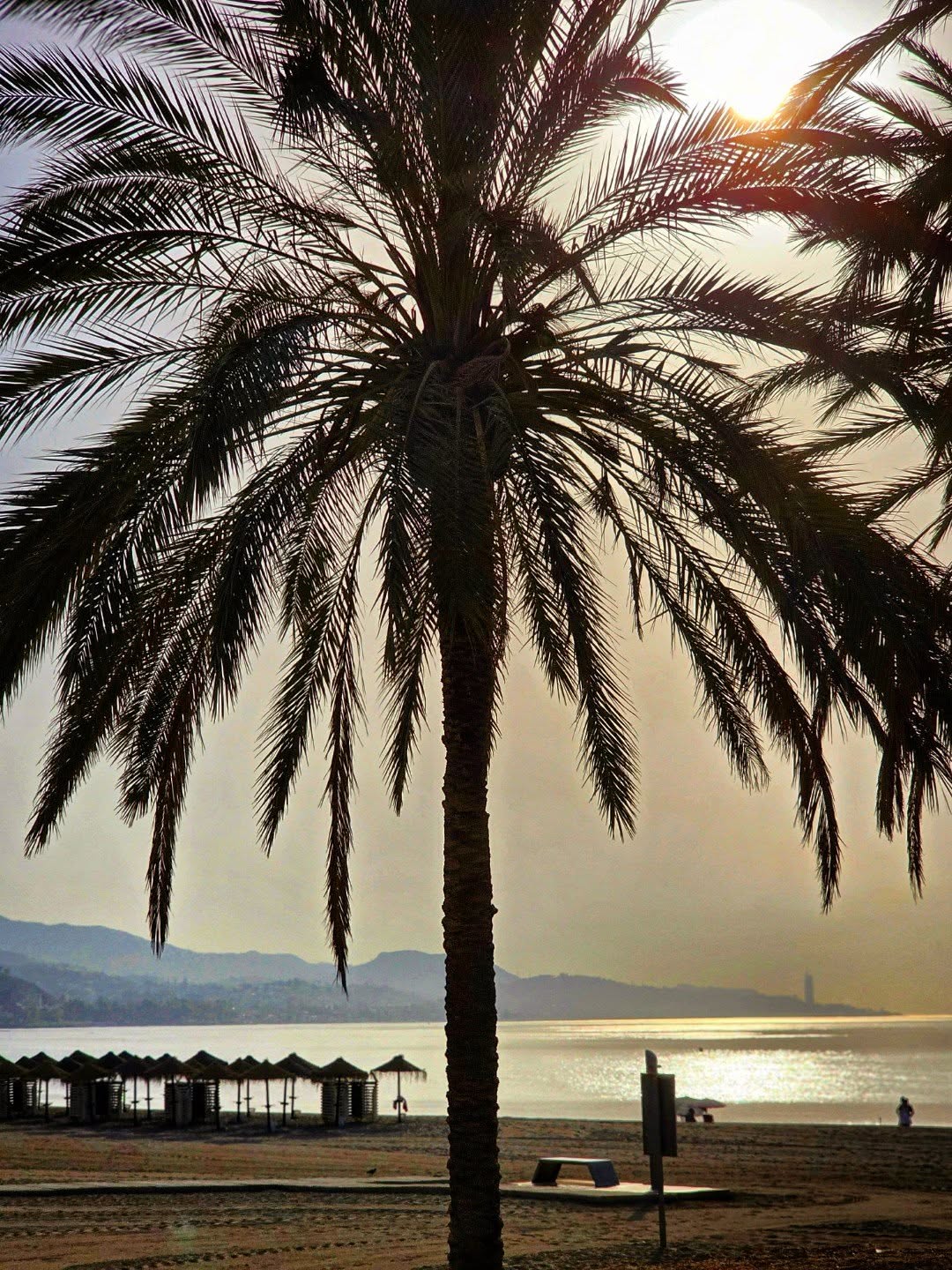 📍 Una mañana temprana en la Playa de la Malagueta 🌞
.
.
.
.
#lovingmalaga #malaga #malagalife #malagaturismo #málaga #malagatoday #andalucia #ckmalagalife #ok_malaga #ok_andalucia #spain #estaes_malaga #costadelsol #ok_spain #photosofmalaga #malagaconacento #spain_all_pics #summervibes #travel #travelphotography #enamoratedemalaga #malagaconacento #sunrise