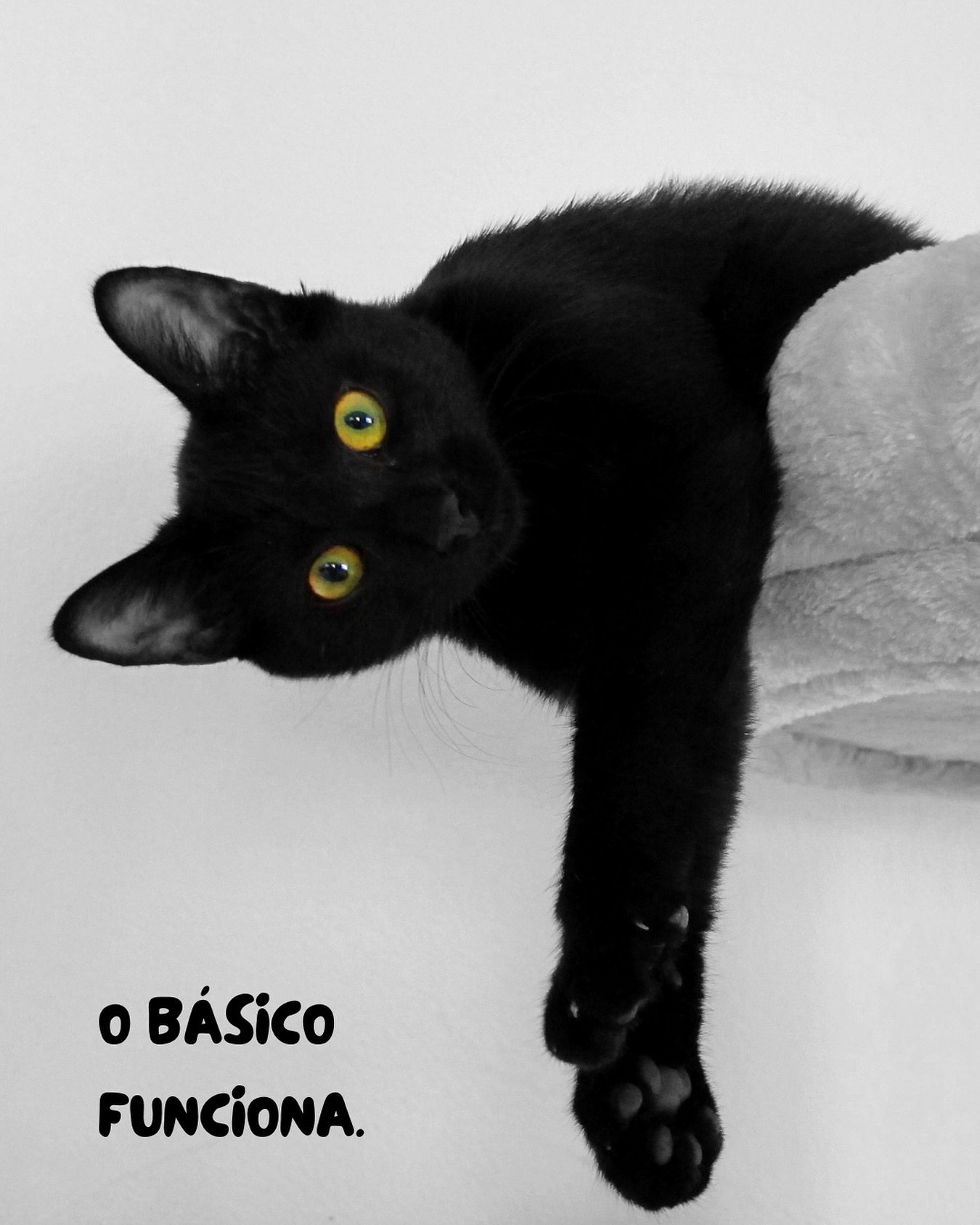 Quando o assunto é saúde dos pets, muita coisa pode parecer complexa — mas a verdade é que, na maioria das vezes, o básico funciona. Observar o comportamento, manter a vacinação em dia, oferecer uma boa alimentação, garantir visitas regulares ao veterinário…
É nisso que está a base de uma vida longa, saudável e cheia de bem-estar. Na Petplace, acreditamos que cuidar bem não precisa ser complicado. Precisa ser constante, atento e feito com responsabilidade.
✅ Check-ups de rotina
✅ Prevenção antes dos sintomas
✅ Escuta ativa entre tutor e profissional
Porque o essencial continua sendo o mais eficaz.
E quando feito com afeto, funciona ainda melhor.
🧡 Conte com a Petplace. Aqui, o cuidado começa no simples, e vai até onde for preciso.
#Petplace #CuidadoVeterinário #BásicoBemFeito #SaúdePet #VeterináriaComAfeto
#CheckupPet #AmorQueCuida #InformaçãoÉCuidado