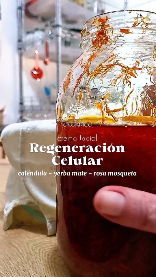Hoy quiero mostrarte un pedacito de magia de Espíritu Orgánico ✨
Así nace nuestra Crema Facial Regeneración Celular, una de las más queridas, hecha con ingredientes que trabajan en armonía con tu piel.
🌼 Caléndula en doble maceración: este es el corazón de la fórmula.
Al macerar dos veces las flores conseguimos una concentración altísima de sus propiedades calmantes, regeneradoras y antiinflamatorias.
Ideal para pieles que necesitan reparación profunda.
🍃 Yerba Mate: una joya antioxidante que protege frente al envejecimiento prematuro y ayuda a mantener la piel luminosa.
🌹 Aceite de Rosa Mosqueta: reconocido por estimular la regeneración celular y mejorar la apariencia de manchas y cicatrices.
Cada frasco es el resultado de paciencia, cuidado y respeto por los tiempos de la naturaleza 🌿.
Porque tu piel merece productos vivos, frescos y de verdad efectivos 💛.
#organico #natural #cosmeticanatural #artesanal #ecoamigable #cuidadofacial #facial #vegano #cremafacial #cremafacialnatural #rosamosqueta #yerbamaté #calendula