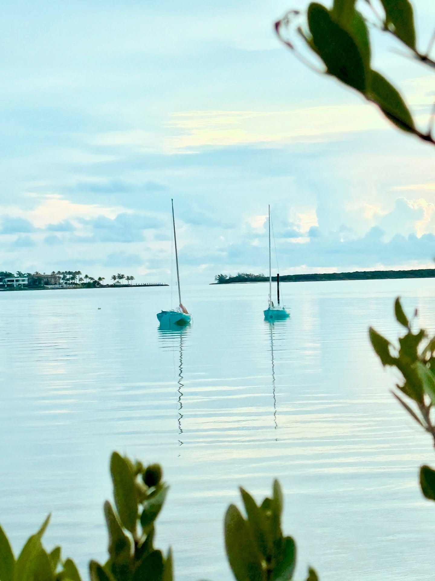 Sure, yachts are cool… but have you ever let the wind carry you across the water on one of these little sailboats? Sometimes simple is unforgettable……
-
#islandyachts #Bahamas #sailing