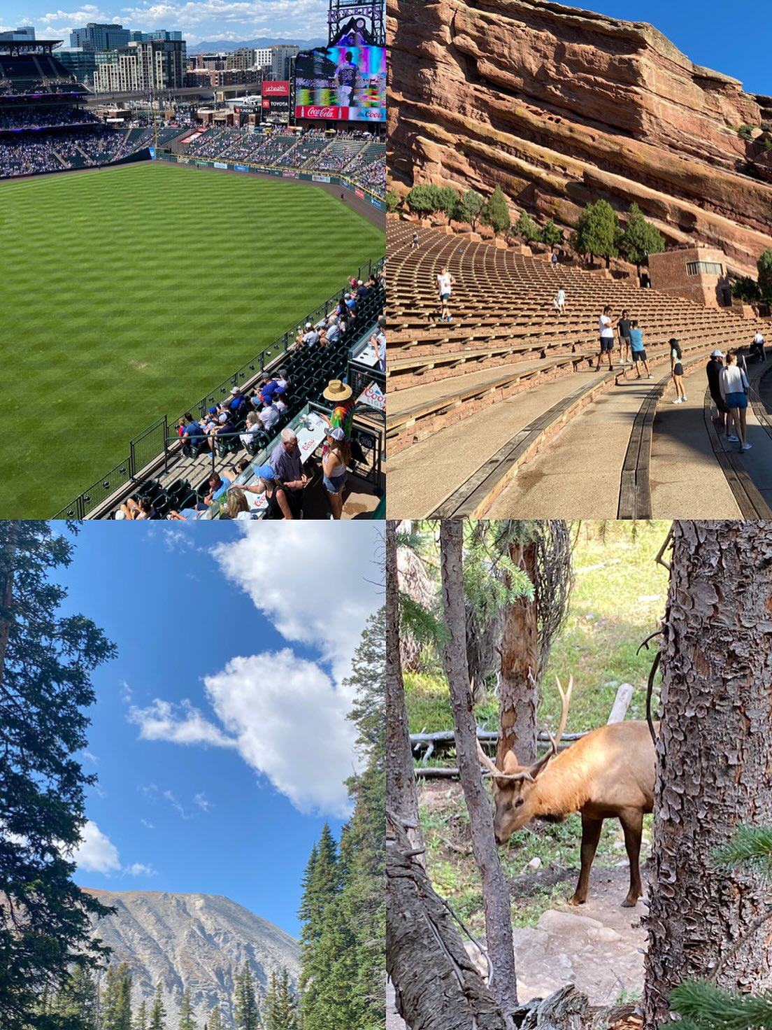 New posts on SundayLoon, all things Colorado!
#colorado #flyfishing #nature #hiking