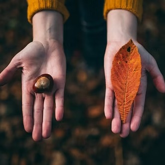 🍂 Health insurance is changing fast… and not in your favor.
Marketplace premiums are expected to rise by up to 79% in 2026, with some states seeing 100%+ increases heading into 2026. That means many families could be paying double or triple for the same coverage.
But here’s the good news → You still have a choice.
✅ Lock in 2025 rates before they disappear
✅ Get first-dollar benefits (no deductible!)
✅ Nationwide PPO coverage with top doctors & hospitals
✅ Self-employed? Premiums may be tax-deductible
The photo says it best: one hand with a leaf 🍁 (old, fading plans) … the other with an acorn 🌰 (growth, stability, smarter coverage).
This fall, which will you choose?
📌 Tap the link in bio to read the full blog & see your options today.
https://www.healthbasedhealthcare.com/post/fall-is-here-and-so-are-health-plan-price-increases
#healthinsurance #openenrollment #PrivatePPO #insurancemadesimple #SelfEmployedLife #financialwellness #healthcareplanning #healthjourney #selfemployed