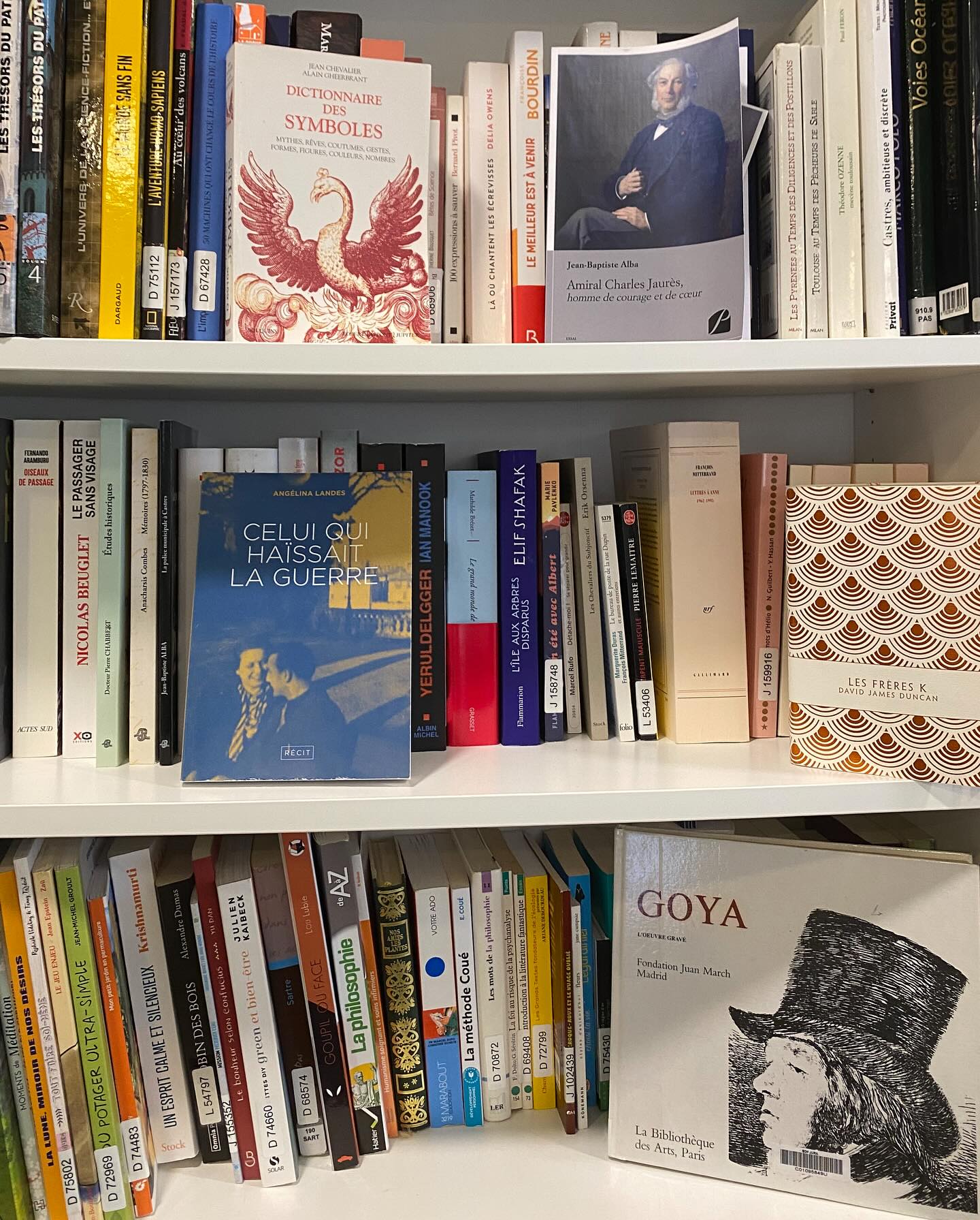 Au marché du livre, 2ème édition à Castres avec @association_cerberus.