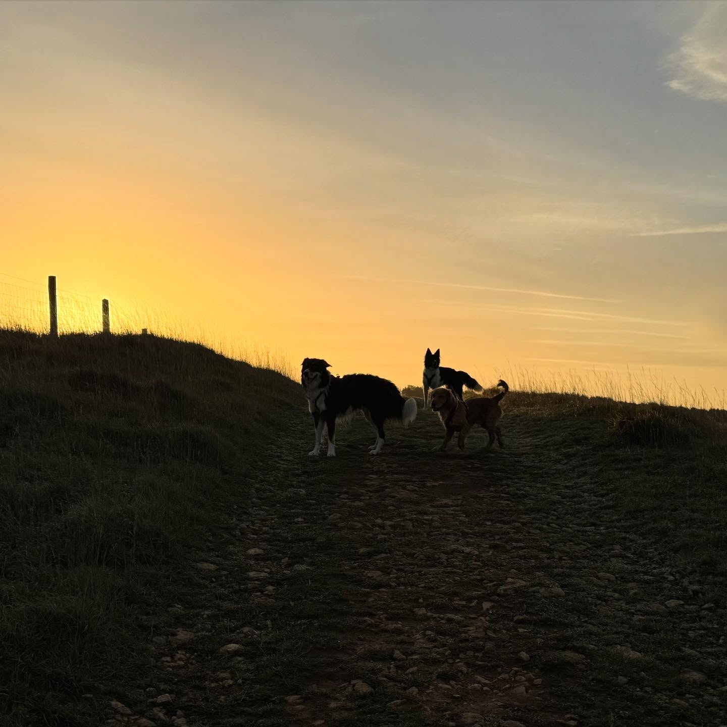 Morning walk before our Sunday Session of yoga at Elmley Castle today. #autumnsunrise #sundayyoga