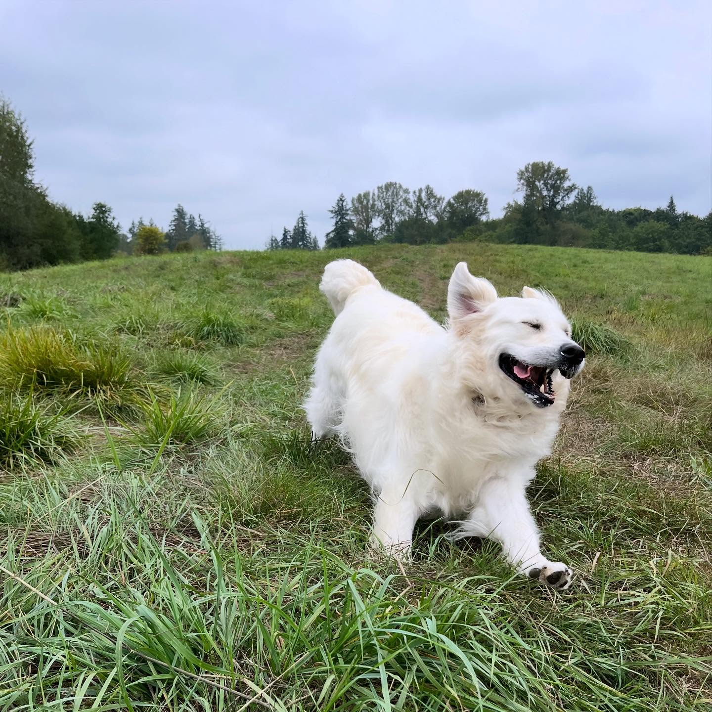 Oliver bringing us the vibes we need right now. ☁️🥰❤️ #almostfriday #vibes