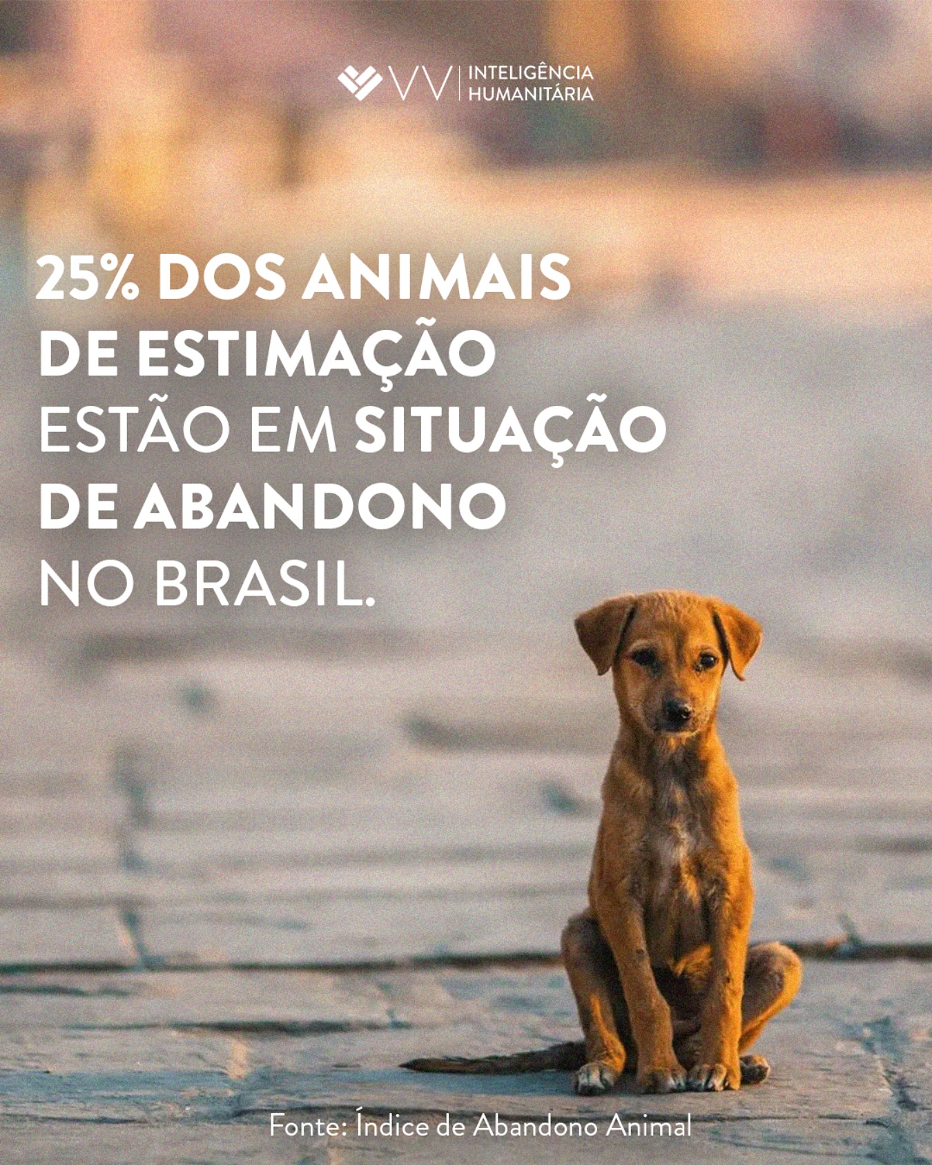 MAIS DE 30 MILHÕES DE ANIMAIS DE ESTIMAÇÃO NO BRASIL VIVEM EM SITUAÇÃO DE ABANDONO! 🐾
Atrás desse número estão milhões de histórias de fome, medo e sobrevivência.
Em desastres como enchentes e deslizamentos, a realidade se torna ainda mais dura: muitos bichinhos são deixados pra trás, sem qualquer proteção. Eles precisam de cuidado e de pessoas dispostas a estender a mão.
Em alguns dias, a Vv vai lançar uma página especial pra que você possa APADRINHAR ANIMAIS RESGATADOS em desastres e garantir a eles uma nova chance! ➡️ Deixe seu nome em nossa lista (link na bio) e fique de olho!
#Vv #inteligenciahumanitaria #animaisresgatados #solidariedade