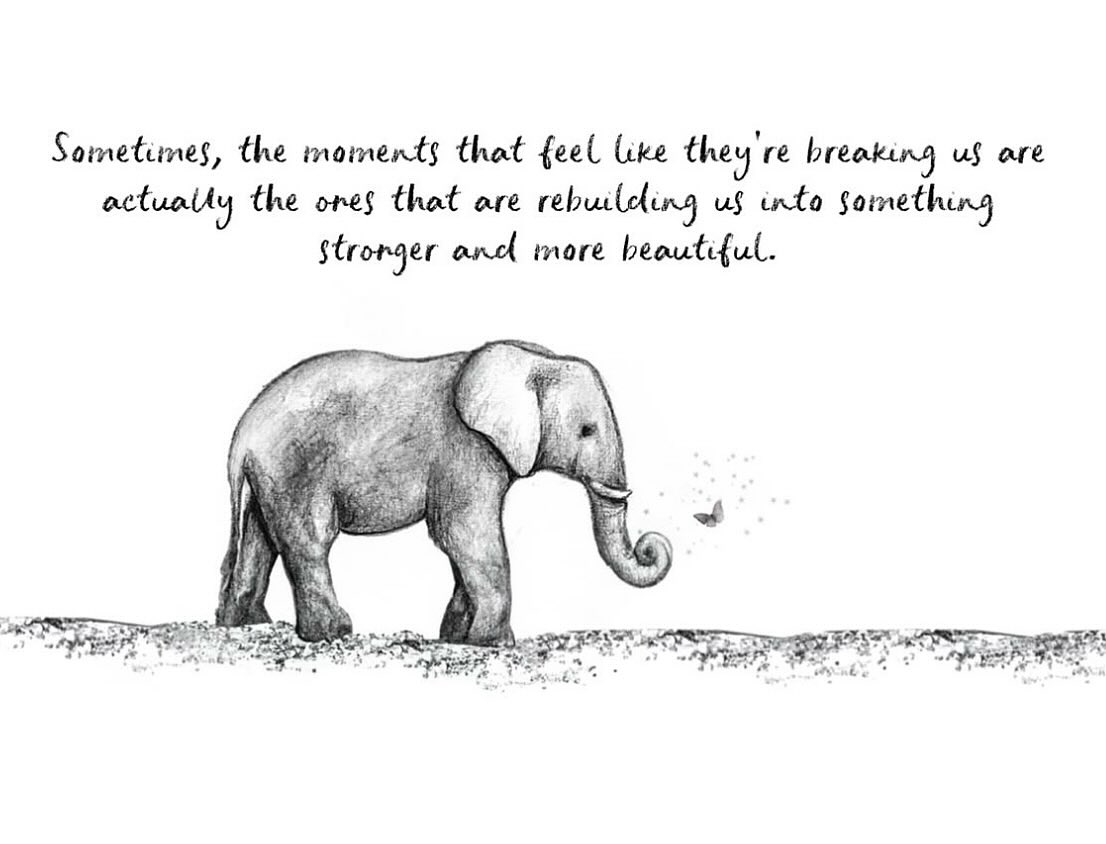 #consciousness #spirituality #meditation #love #awakening #spiritualawakening #spiritual #mindfulness #healing #energy #selflove #yoga #enlightenment #wisdom #peace #inspiration #life #awareness #soul #motivation #universe #nature #quotes #happiness #believe #higherconsciousness #gratitude #yogagirl #yogaeverywhere