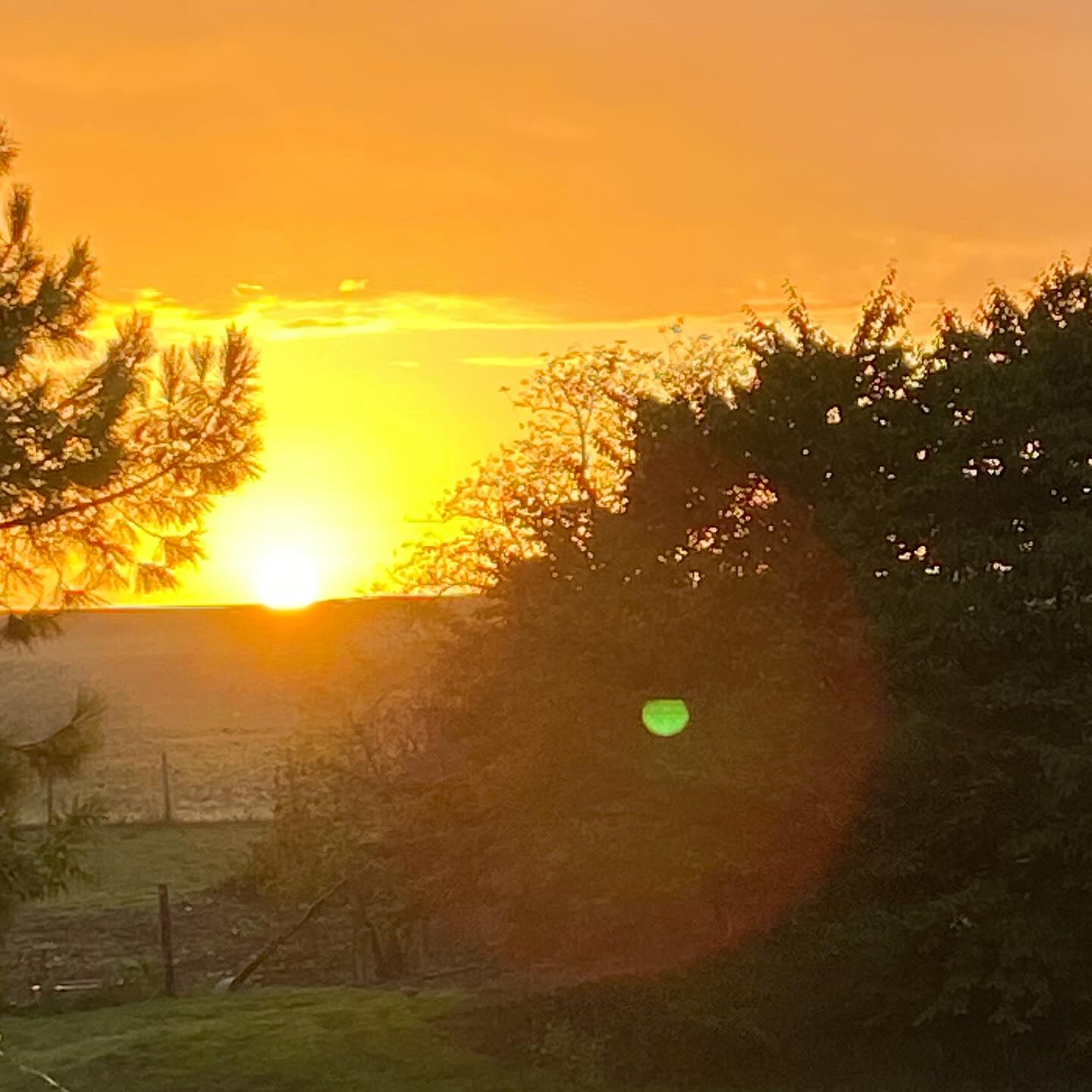 ✨Message 🕊️Ne sois pas triste parce que je suis parti mais sois plutôt en joie car ici j’ai appris, j’ai compris, j’ai aidé, j’ai guidé. Dis-toi au contraire que même si je ne suis plus là par ma présence je continue malgré tout ma route. Je ne suis pas loin, je suis juste de l’autre côté du voile. Ici l’égo, les peurs ne sont plus. Alors dis-toi que ce que je faisais ici-bas je continuerai à le faire de plus belle là où je suis c’est-à-dire aimer mais aussi et surtout t’aimer. Signé P #message #ame #defunt #amour