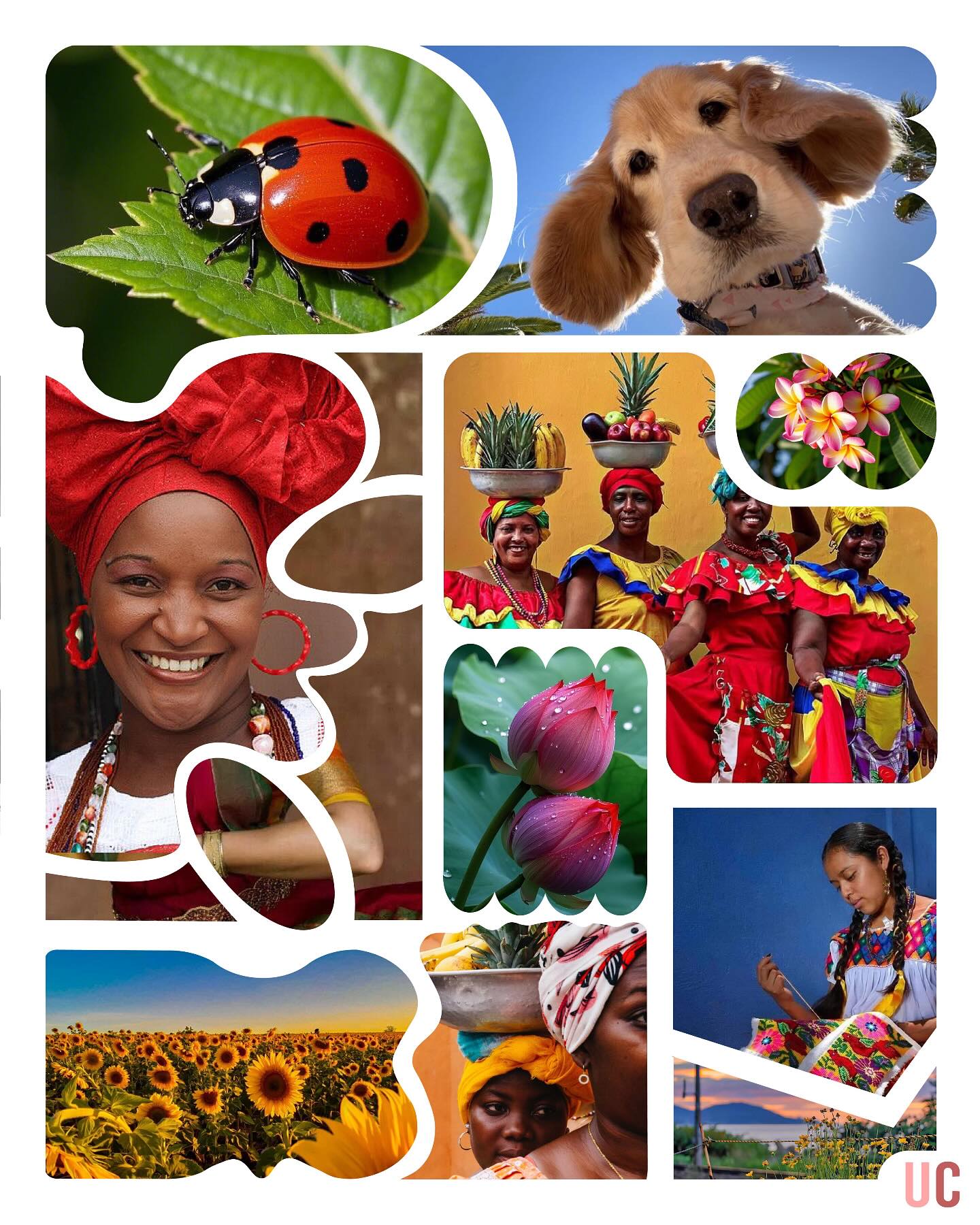 Geometry meets creativity 🎨🔺
Circles, blobs, waves—custom crops are redefining how we frame stories. Shapes speak louder than borders. 🖼️👉
Try custom cropped photos to instantly level up your layout. #ShapeDesign #DesignCommunity #CreativesOnInstagram #ArtDirection #LayoutDesign#Customcrop#Customyourdesigns.