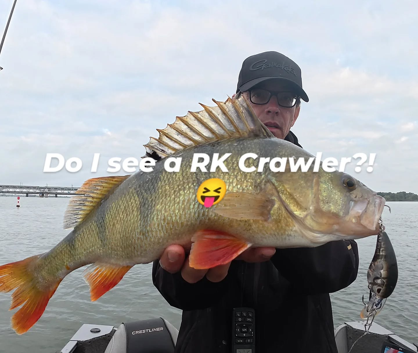 Hooked on the thrill.
This beast couldn’t resist the SPRO RkCrawler’s deadly wobble —European perch in full glory.
Bridge in the back, rod in hand, and one unforgettable day on the water.
#yamahaprofishing #batterylabs #lurefishingguide #ufxfishing #spro #proventocatch