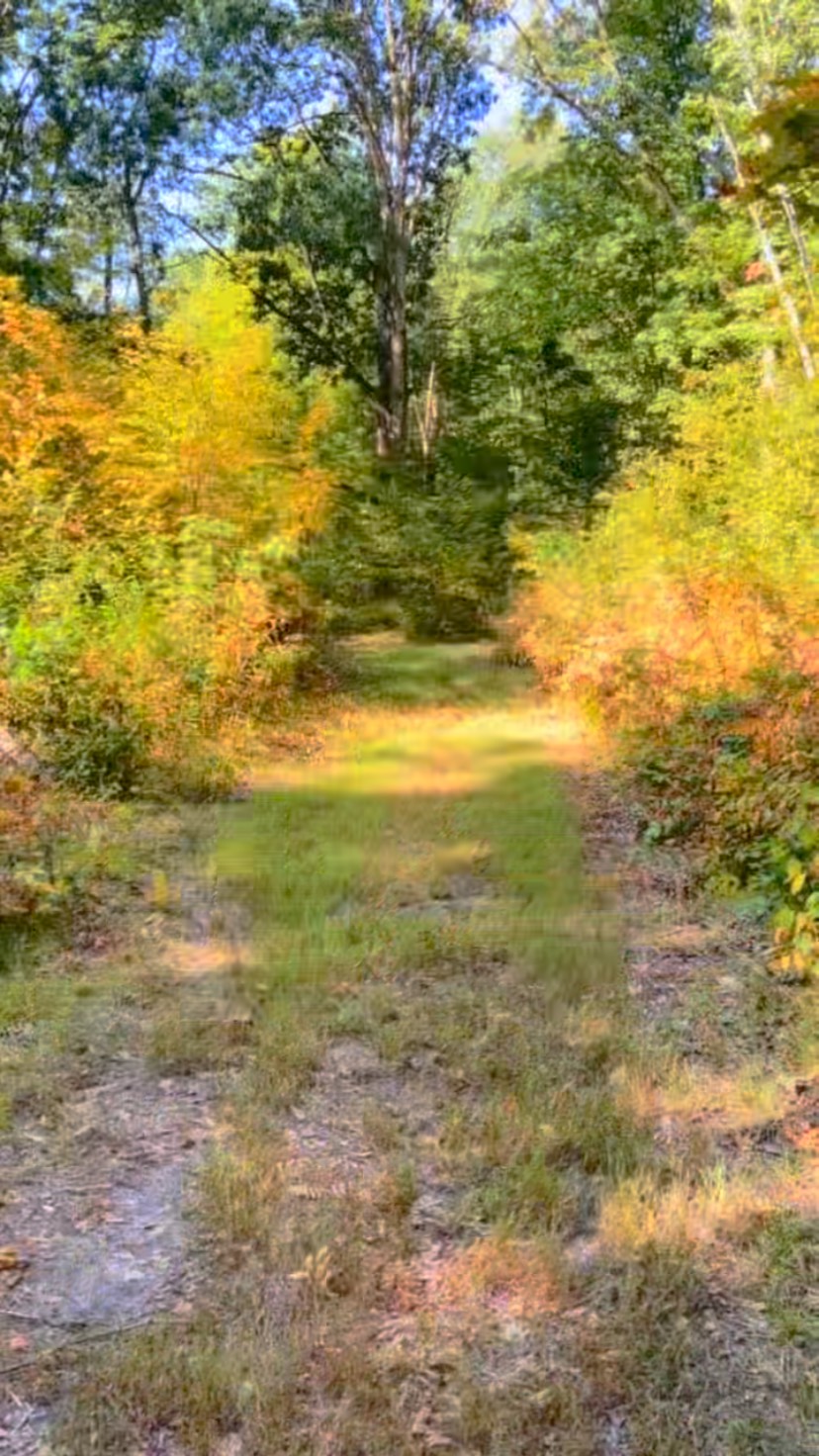 We’re looking forward to seeing everyone to get a little work done before our upcoming events!#navy #armylife #coastguard #veterans #marinecorps #airforce #gvsualumni #veteranowned #rivercountrychamberofcommerce