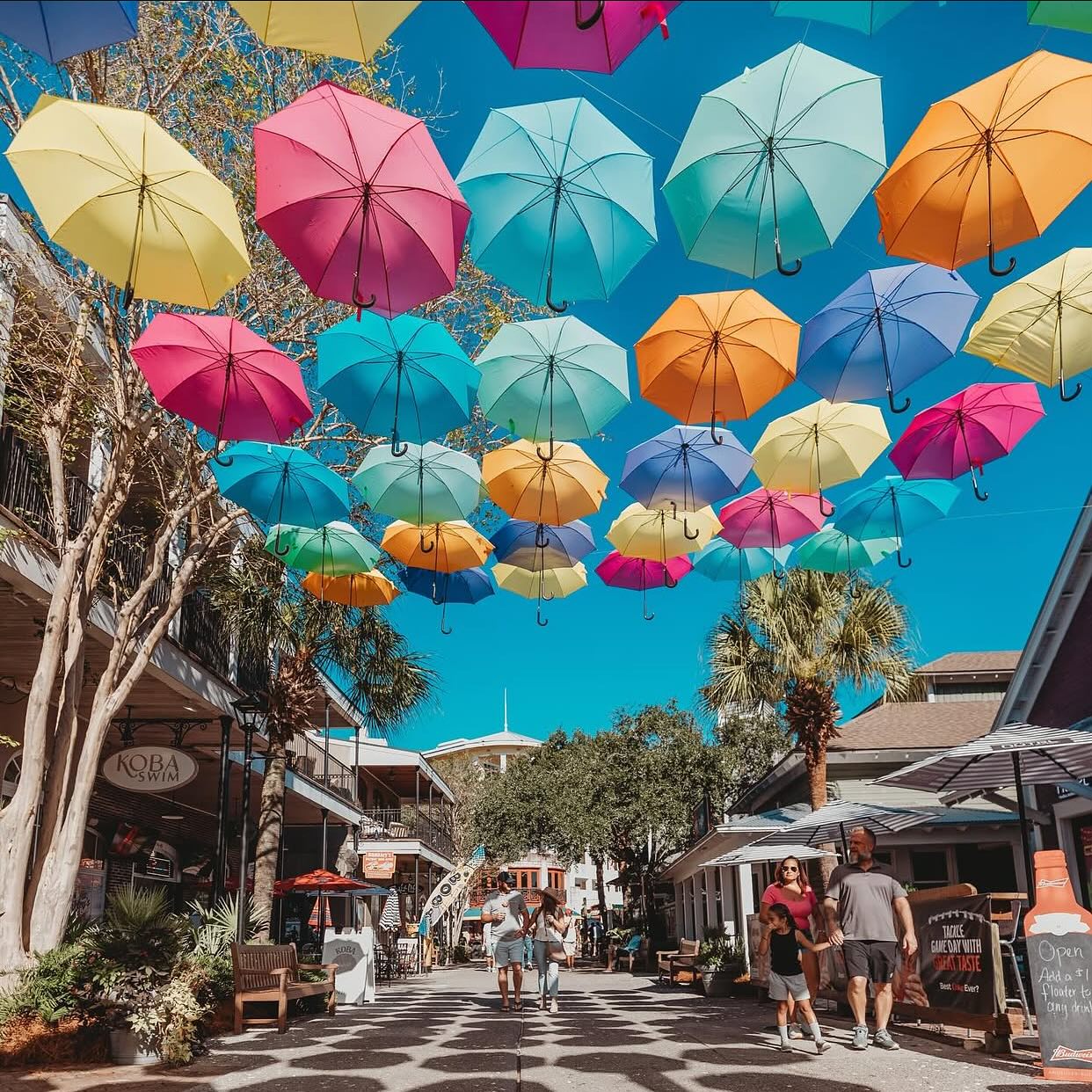 Perfect time of year- visiting 850- what’s on your list to do?
.
.
.
.
.
#pensacola #pensacolasmallbusiness #supportlocalbusiness850 #850 #thingstodopensacola #gulfbreeze #destin #thingstododestin #movingtonwfl #movingtopensacola #movingtodestin #fortwaltonbeach #navarre #buyingnwfl #sellingnwfl #thingstodonavarre#navarresmallbusiness #fortwaltonsmallbusiness #floribama #gulfcoast #emeraldcoast #allthingsemeraldcoast #realestatepensacola #navarrerealestate #destinrealestate #gulfcoastproperty #propertiesforsale850