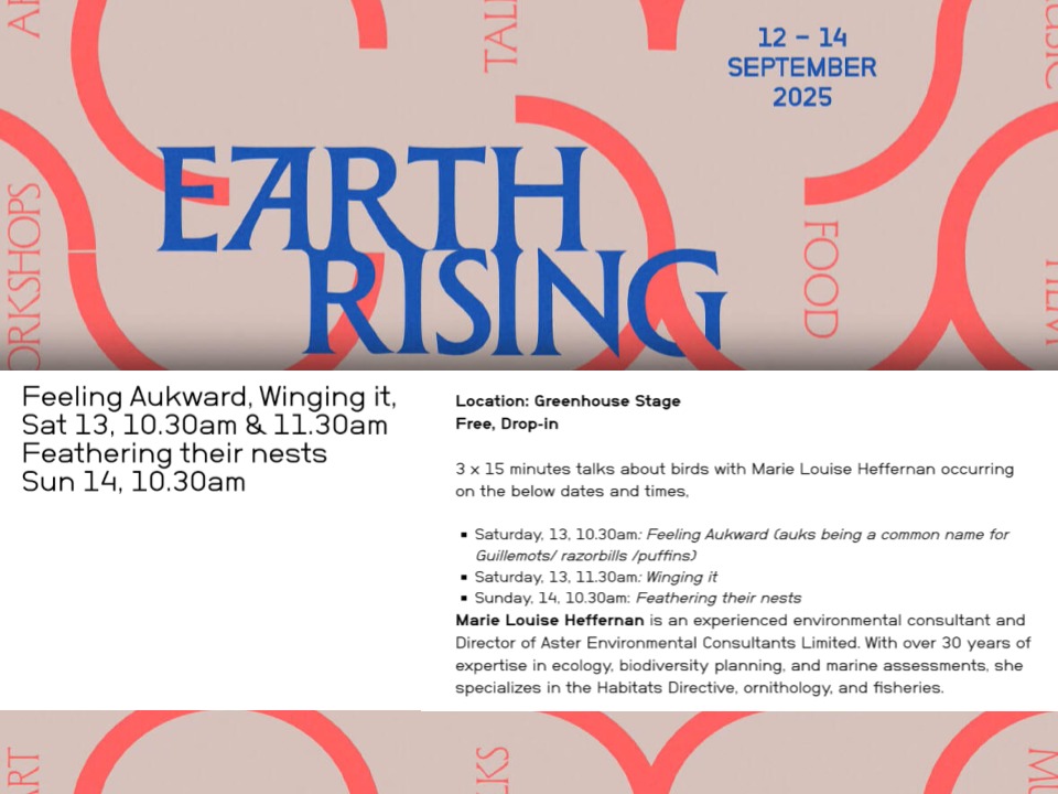 Our brilliant Galway regional coordinator, and experienced environmental scientist and consultant, Marie Louise Heffernan, will be giving three talks on biodiversity, birds, and climate change at the IMMA Earth Rising Event this weekend, September 12-14.
Drop in to these important chats, and check out the rest of the programme here: https://imma.ie/whats-on/earth-rising/