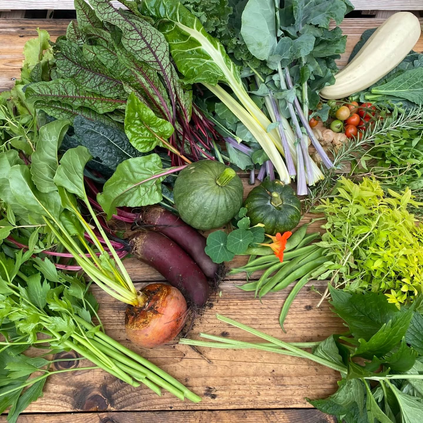 Lange Tafel: ERNTEABGABE startet heute!!!
Wichtige Erinnerung: HEUTE startet die Ernteabgabe für die Lange Tafel.
🍏🥒🥕🌽🍅🍆
Am Freitag ist es soweit und die Lange Tafel geht in die dritte Runde. Aus der Ernte des Harzer Kiezes wird das Team von @kokitchencatering ein wundervolles Menü zaubern, welches wir gemeinsam verspeisen werden.
Ab heute (15.09) bis Donnerstag (18.09) dürft ihr eure überschüssige Ernte bei KoKitchen in der Harzer Straße 39 im Hof der Geyerwerke abgeben! Wir freuen uns über Obst, Gemüse und Kräuter.
Übrigens: Die tollen Menschen von 'Idyll ohne Müll' @kulturlabor_trial_error räumen für uns wieder die Brockenstraße auf und @bwgt_ev bietet ab 17Uhr Spiel und Spaß für die Kinder an.
Wir freuen uns auf Euch, bis Freitag! 🥰😋