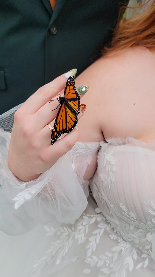 Brianna- The true woodland fairy 🧚♀️ ✨️
Those two had the very magical wedding day yesterday ❤️
* The butterfly was a paid actor
•
#daytonphotographer #ohioareaphotographer #love #picoftheday #weddingphotography #weddingphotographer #theknotpro #soulmates #canyonrunranch