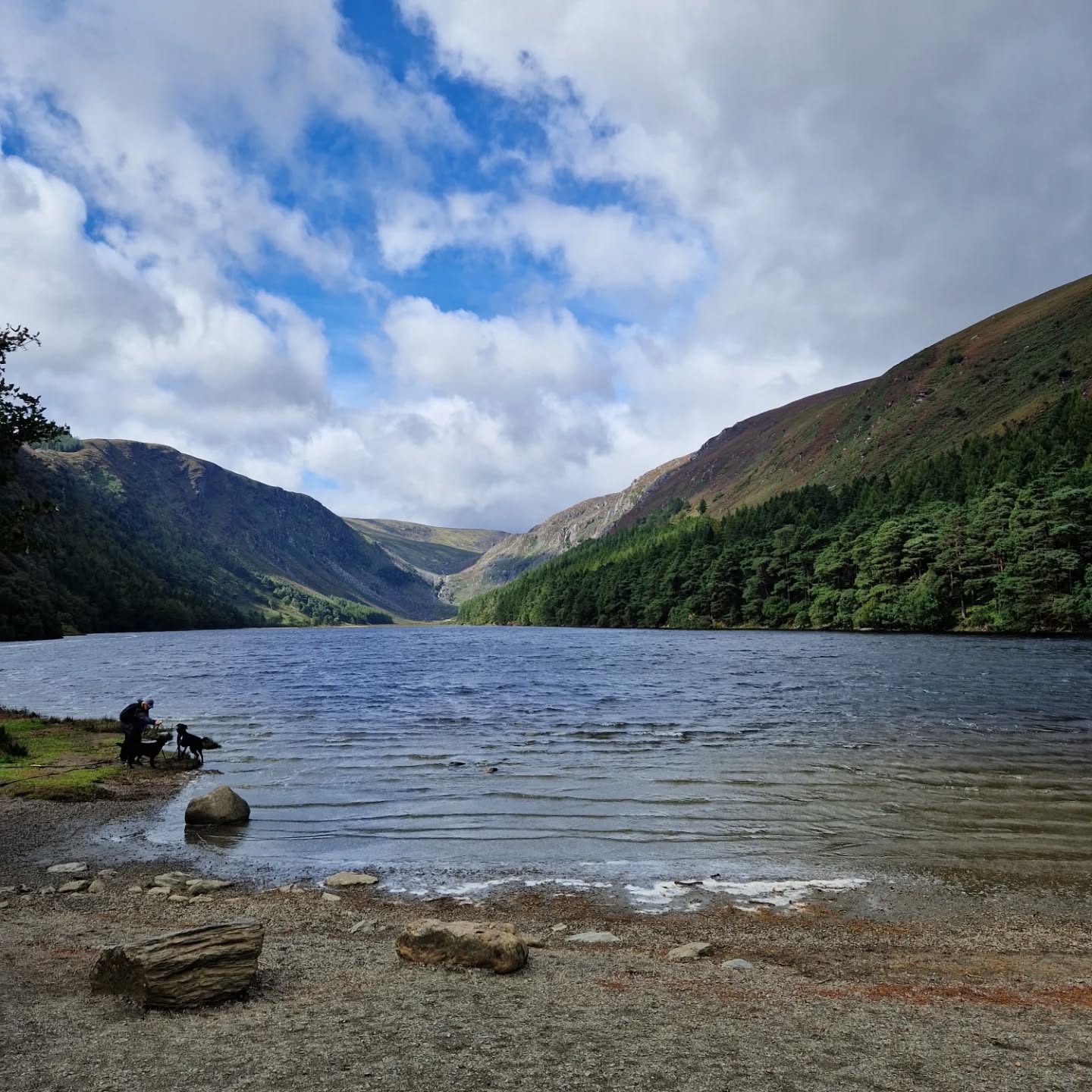 Glendalough, Co.Wicklow - a popular spot for tourists, and it's easy to see why. Stunning scenery, great nature walks, and a monastic site once home to St.Kevin.
This is definitely worth a visit on your Irish travels!
#irelandtravel
#wicklowway