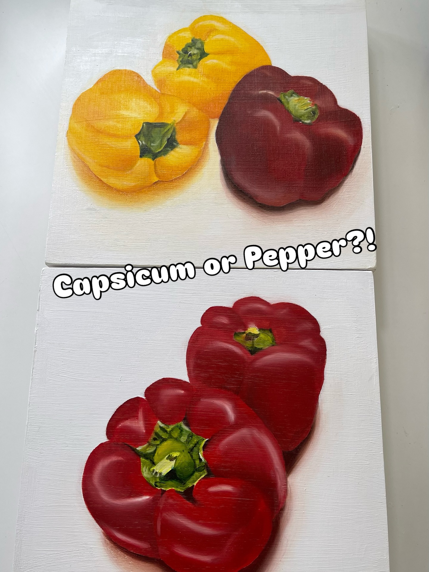 A reminder that our next exhibition starts this Thursday @ Richard Randall Art Studio, Mt Coot-tha Botanical Gardens.....