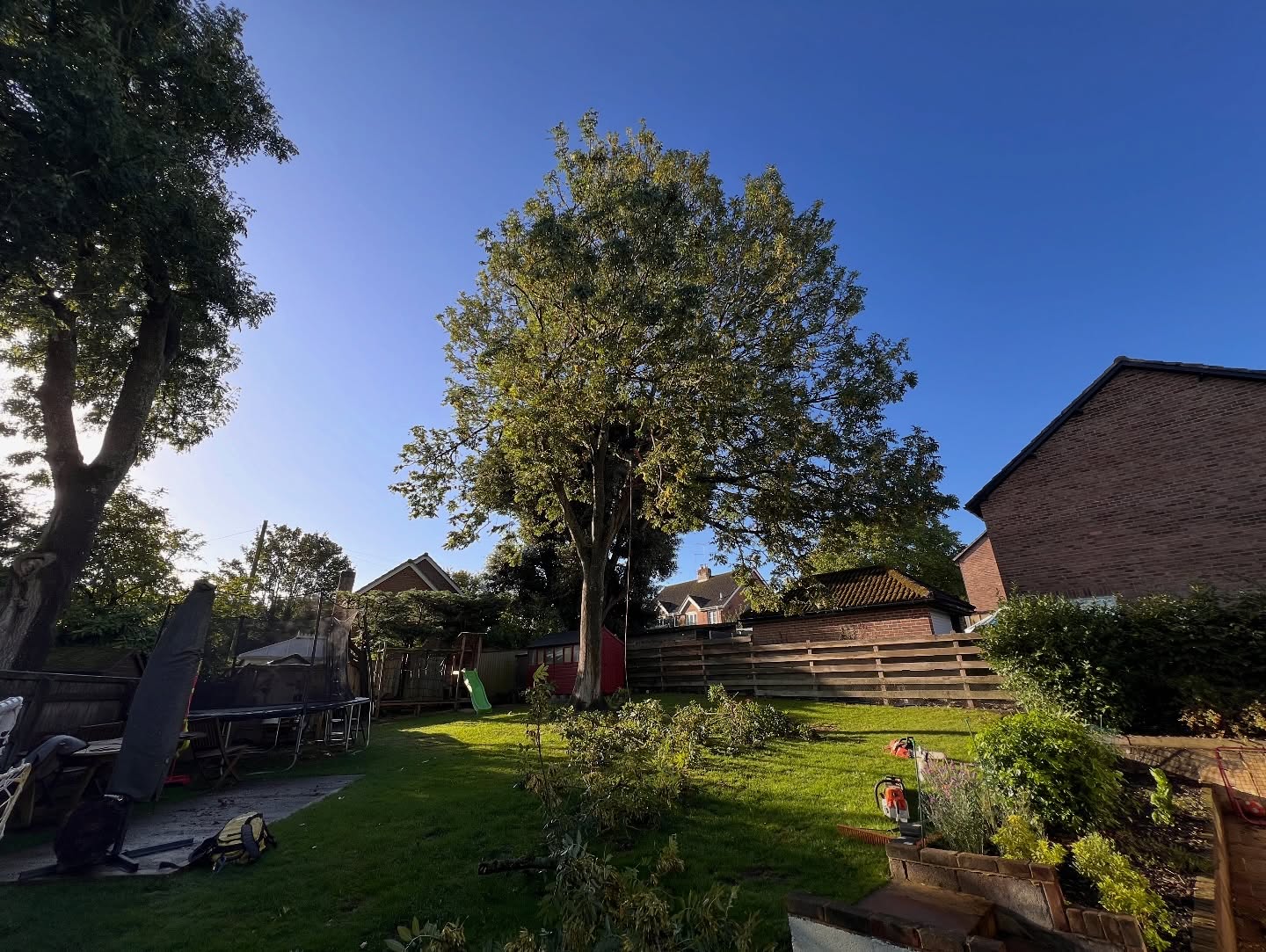 🌳✨ Ash tree down! ✨🌳
This big ash was becoming a little too close for comfort with the house 🏡 and also showing early signs of ash dieback 🍂.
It was the perfect time to get it down safely ✅ — while it was still strong enough to climb 🧗♂️. Once ash dieback fully takes hold, climbing becomes unsafe, and with no access for a cherry picker 🚜, this was the only way!
Everything was taken care of on site:
👉 Chipped 🌿
👉 Logged 🔥
👉 Stump ground out 🌱
All left neat, tidy & ready to go 👍💪
#TreeWork #AshDieback #TreeSurgery #SafeClimbing #Chipping #Logging #StumpGrinding #ArboristLife 🌳🪓