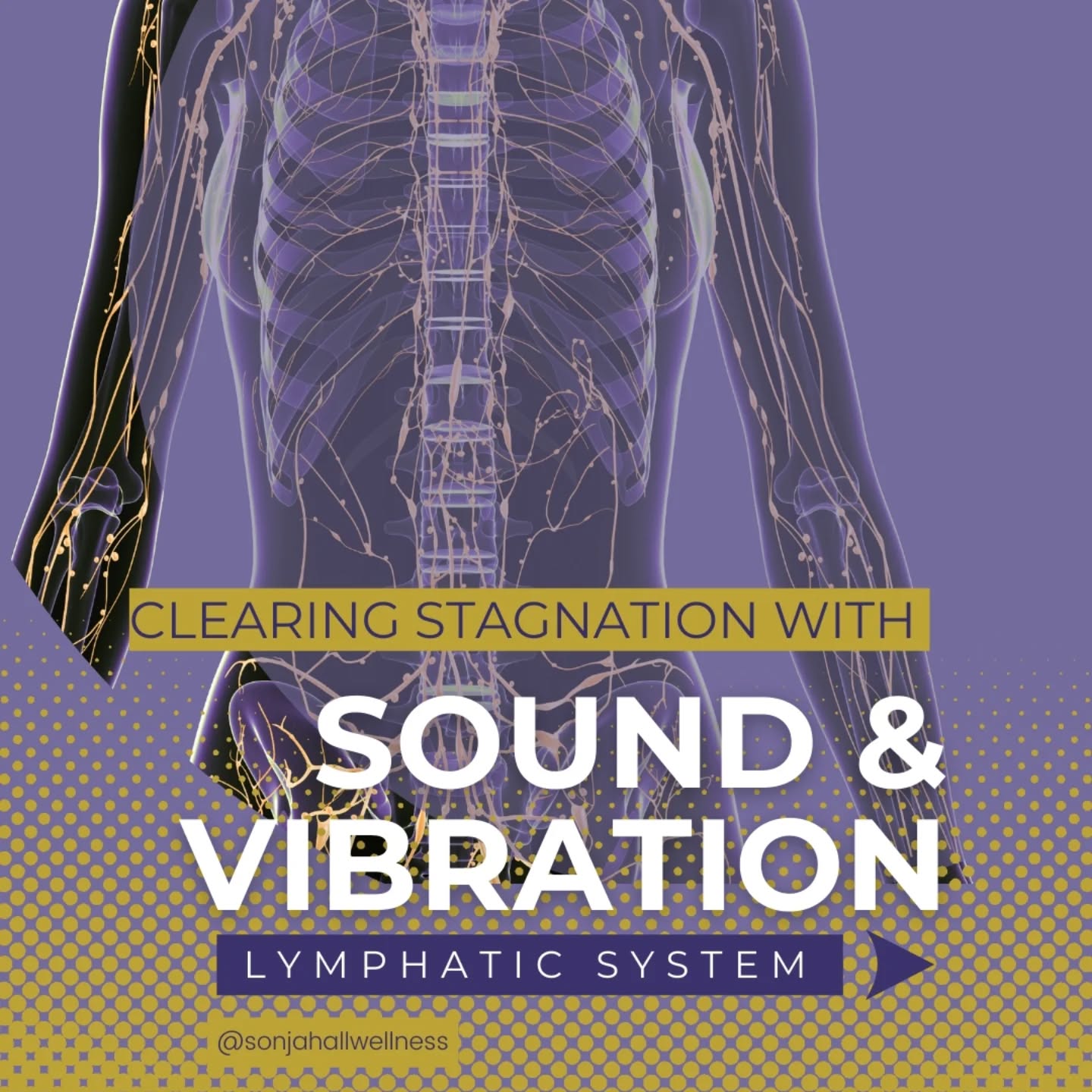 Your lymphatic system is like a river inside the body moving waste, supporting immunity, and keeping everything flowing. But unlike the heart, it has no pump of its own.
Thatās why it relies on movement, breath, and vibration.
When sound travels through you, it ripples out just like waves spreading across water. These gentle vibrations can help loosen stagnation and encourage flow, allowing your system to naturally release what itās ready to let go of.
This is why after a sound journey, people often describe feeling lighter, clearer, and more at ease, not just in their mind, but throughout their whole being.
⨠Sound isnāt only heard. Itās felt, all the way through.
If you feel called, join my next sound journey and experience the shift for yourself.
BOOK NOW link in bio
#SoundHealing
#SoundJourney
#VibrationalHealing
#GongBath
#CrystalBowls
#SoundTherapy
#LymphaticHealth
#InnerFlow
#soundjourneyperth
#perthwellnessevents