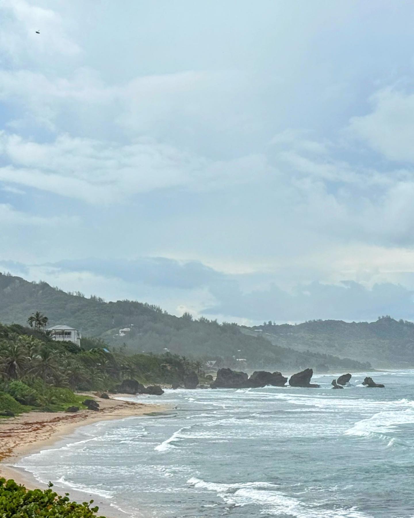 Wonderful vantage point of a project Tenby in the distance. Designed for the adventurer.
#barbados
#eastcoast
#architecture
📷 @jeremyrgunn Saturday site visits.