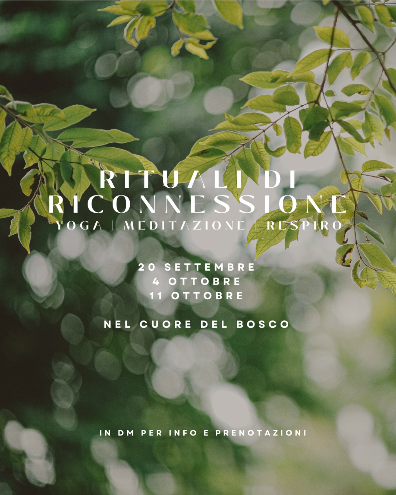 Ritrovare sé stessi, nella semplicità della natura. 🌲
Tre appuntamenti speciali di yoga nel bosco, dove il respiro si intreccia al silenzio e ogni pratica diventa un rituale di riconnessione con il tuo corpo e con la tua energia.
📅 Date:
• Venerdì 20 settembre
• Venerdì 4 ottobre
• Venerdì 11 ottobre
Dalle 10 alle 12
Un’occasione per fermarti, ascoltarti e ricaricarti in profondità.
📩 Per informazioni e prenotazioni scrivici in DM, oppure alla mail eventi@peoplesrl.com
O visita www.ilboscoeremolocatelli.com
#yoganelbosco #ritualidiriconnessione #yogamilano #eventimilano #yogaitalia #yoganatura #benessereolistico #crescitaspirituale #eventimilano2025 #yogainlombardia #yogacommunity #milanoeventi #ritrovarese #praticanaturale #yogaallaperto