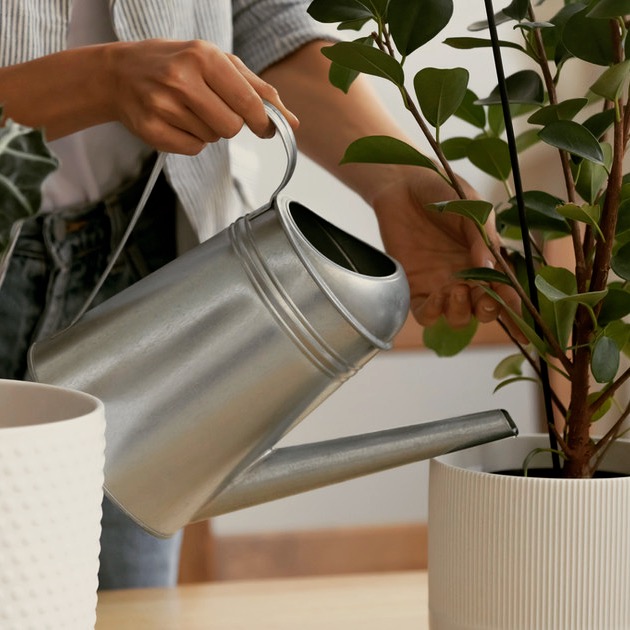 Your indoor plants deserve the best!
Keep your favorite houseplants thriving by starting with Drain Smart discs in your pots. Unlike mesh or rocks, Drain Smart gives you:
• Even drainage
• Healthy root systems
• No mess on your floors
Plant smarter inside, and let your greenery stay happy and healthy all year long. 🌱
Try them today—your plants will thank you!
Buy at Drainsmartusa.com or on Amazon.
#IndoorPlants #HouseplantLove #DrainSmart #PlantSmarter
#GardenTips #HomeGarden #PlantCare #Sustainability