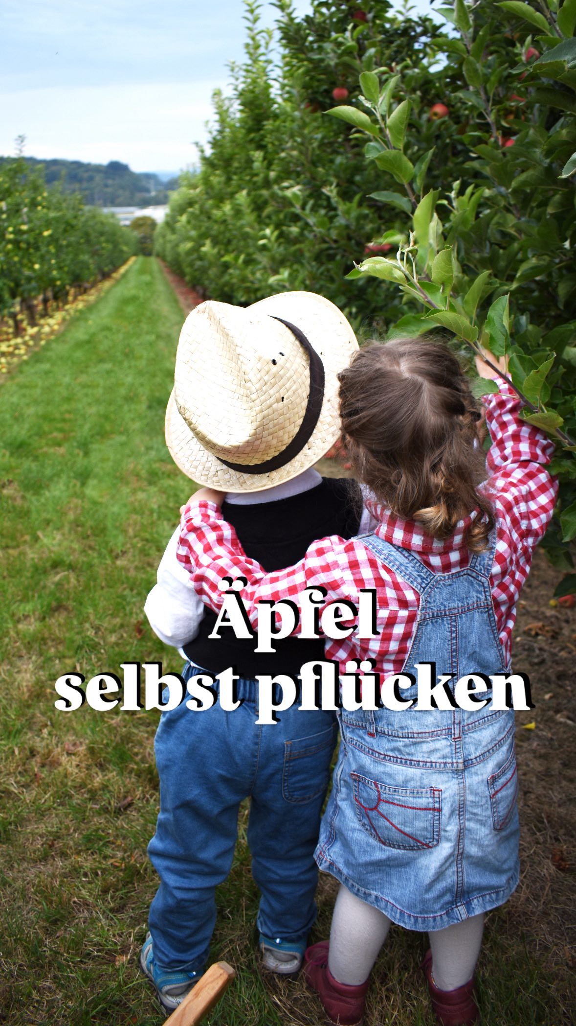Apfelernte bei Wassmer 🍎🌳
Pflückt mit eurer Familie – und nehmt euch Äpfel für den ganzen Winter mit!
Frisch vom Baum, direkt in eure Körbe, regional gewachsen und von Hand geerntet.
Warum sich’s lohnt:
1️⃣ Spaß für die ganze Familie – packt alle ein: Omas, Opas, Tanten, Onkel, Kinder, Enkel …
2️⃣ Ihr bekommt von uns einen Schubkarren. Bringt am besten Kisten und Körbe selbst mit (wir haben aber auch welche vor Ort).
3️⃣ Pflückt genau die Äpfel, die euch am Besten schmecken und gefallen.
4️⃣ Alles regional gewachsen – mit Herz und Hand am Bodensee.
5️⃣ Alles Lageräpfel: kühl & trocken im Keller, in der Garage oder im Schuppen lagern – bis Januar genießen.
6️⃣ Selbstpflücken lohnt sich: Ihr spart beim Preis und habt den Spaß gratis dazu.
📅 Termine fürs Selbstpflücken:
Sa 20. + So 21. September
Sa 27. + So 28. September
Fr 03. – So 05. Oktober
Kommt vorbei, macht euch einen schönen Tag – und nehmt gleich die Äpfel mit nach Hause, die euch den ganzen Winter begleiten. 🍏🍎
#apfelzeit #selberpflücken #markthallewassmer #bodensee
