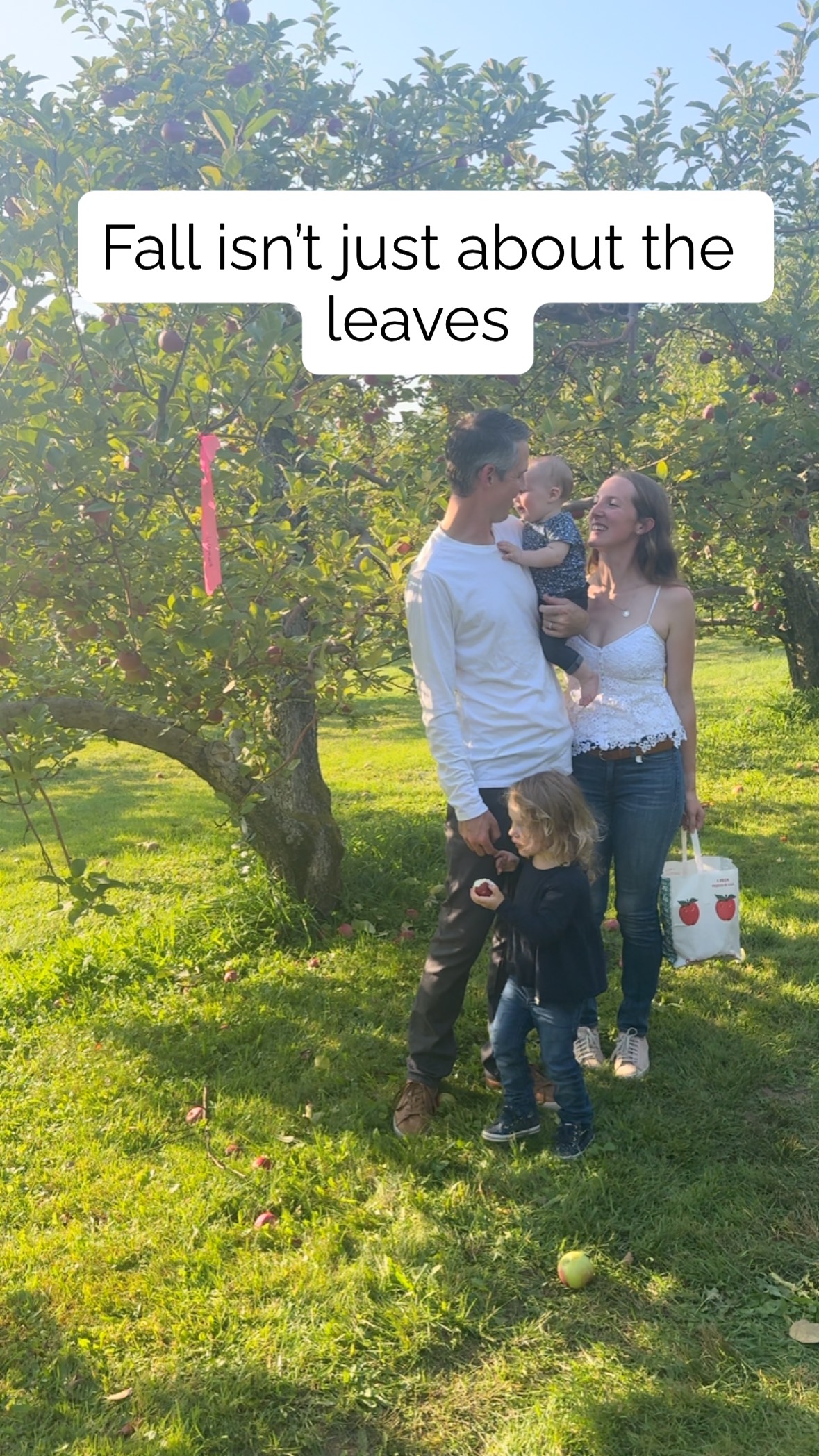 đ⨠Fall in Vermont doesnât get sweeter than this. @yatesfamilyorchard has the dreamiest rows of trees and the famous Supreamee Dreamee Sundae (apple cider donut + creamee + apple pie filling đ). I look forward to this every year!
When I photograph families here, itâs not about forced and cheesy poses and smiles- itâs about real moments: kids running between the trees, sticky fingers from the sundae, the kind of memories youâll actually want to hold onto.
đ¸ Booking orchard session nowâletâs make a fall day your family never forgets.
Vermont Family Photographer
New England Photographer
Stowe Vermont
Burlington Family Photographer
Vermont Apple Orchard #lincolngapphoto #yatesfamilyorchard #vermontfamilyphotographer #burlingtonvt #stowe #madrivervalley #burlingtonfamilyphotographer #stowephotographer #vermonting #vermont #vermontbyvermonters #vermontlife #vermontphotographer #appleorchardphotoshoot