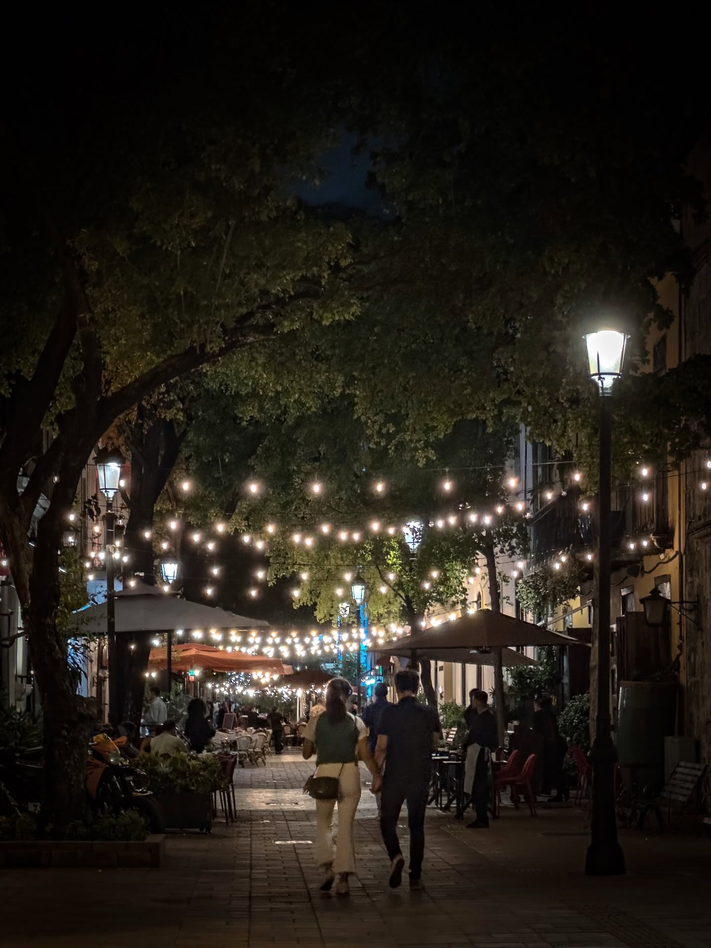 🌙 Cobblestones, fairy lights, and a little bit of magic. 🪄
#ZonaColonial #SantoDomingo #DominicanRepublic #CaribbeanVibes #TravelPhotography #EveningMagic #UrbanRomance #StreetPhotography #WhimsicalWanderings #HistoricCharm #TravelGram #Wanderlust #CityLights #CaribbeanCharm #TimelessPlaces # Ctphotographer
