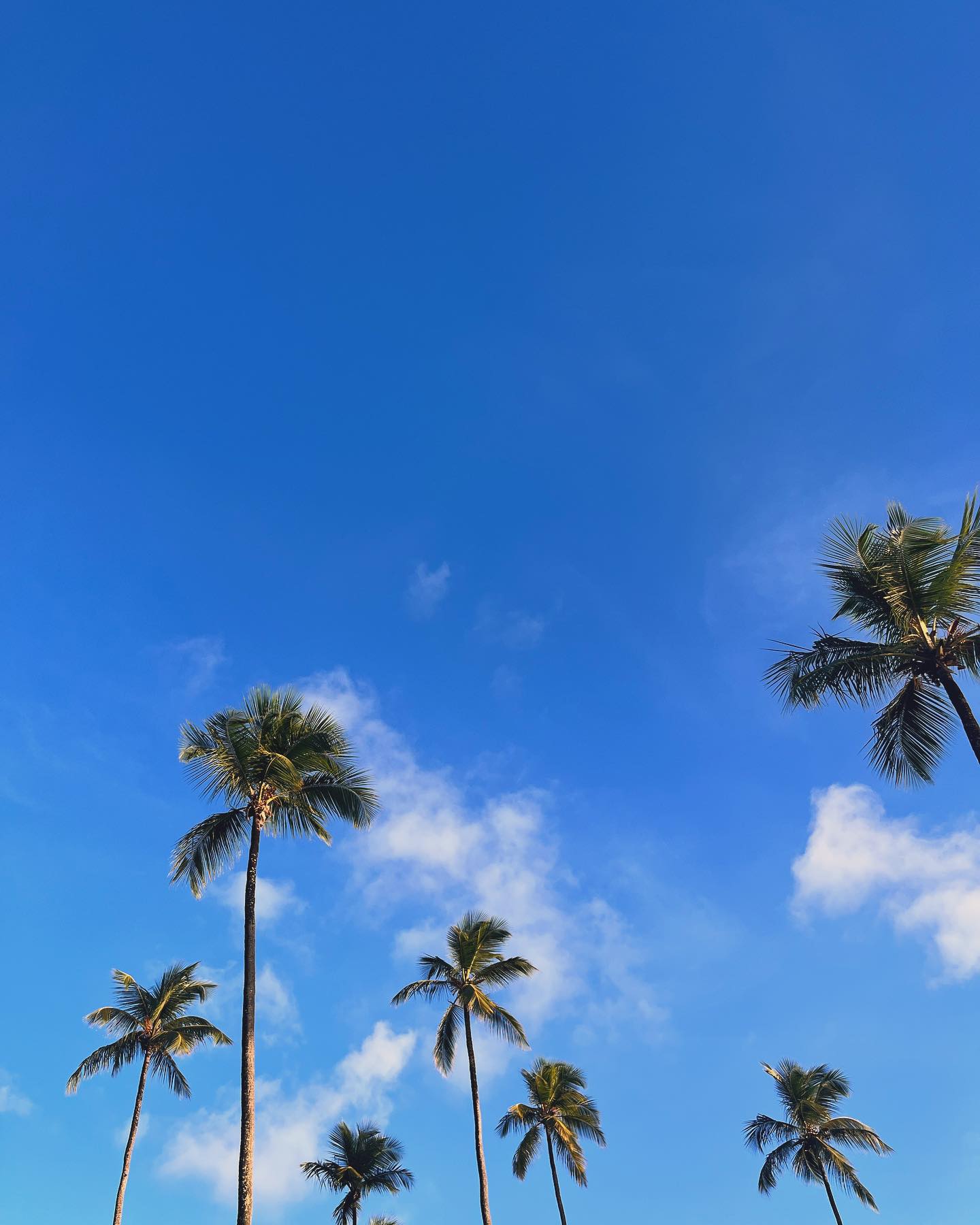 Inspired by the Caribbean. Happy Monday everyone. Wishing you a productive week with clear skies.
#barbados
#islandlife
#caribbeanliving