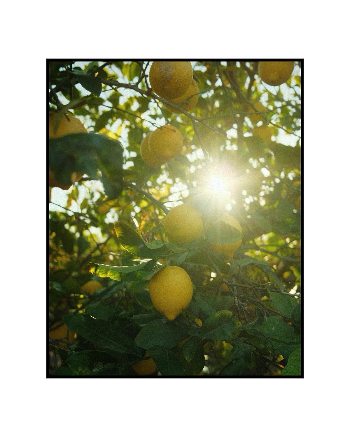 Käytän tänään aikaa opiskeluun ja samalla vähän haaveiluun.
Haaveilu on mulle erityisen tärkeää. Mulla on aina olemassa olevia haaveita. Osa niistä toteutuu nopeastikin ja voi olla tosi pieniä, osa kulkee mun mukana pidempään eikä välttämättä edes toteudu ikinä.
Haaveet on mulle eteenpäin puskevia voimia — ne saa mut tekemään töitä sen eteen, mitä haluan elämässäni saavuttaa. Niiden ei tarvitse olla mitään pilvilinnoja tai tosi hienoja asioita. Niiden tärkein tehtävä on muistuttaa siitä mitä kohti haluan kulkea. Ne luo myös kaikelle mun tekemiselle enemmän merkitystä.
Monesti kun keskityn hetken mun haaveisiin ja unelmiin, ne saa aikaiseksi mulle todella innostuneen olon. Haaveiluhetket muistuttaa mua myös siitä, että lopulta todella moni asia elämässä voi olla saavutettavissa. 🪄
Kun musta tuntuu siltä, ettei aika meinaa riittää opiskelulle tai kun stressaan siitä miten sumplin tämän arjen seuraavan kahden vuoden ajan, muistutan joka hetkessä itseäni siitä, että myös tämä opiskelu on väylä mun unelmia kohti.
Kuka arvaa mihin mun yksi suurimmista haaveista liittyy? 🤭🍋🐚
#valokuvapäiväkirja #haaveistatotta #yrittäjänaiset #yrittäjänelämää #yrittäjyys