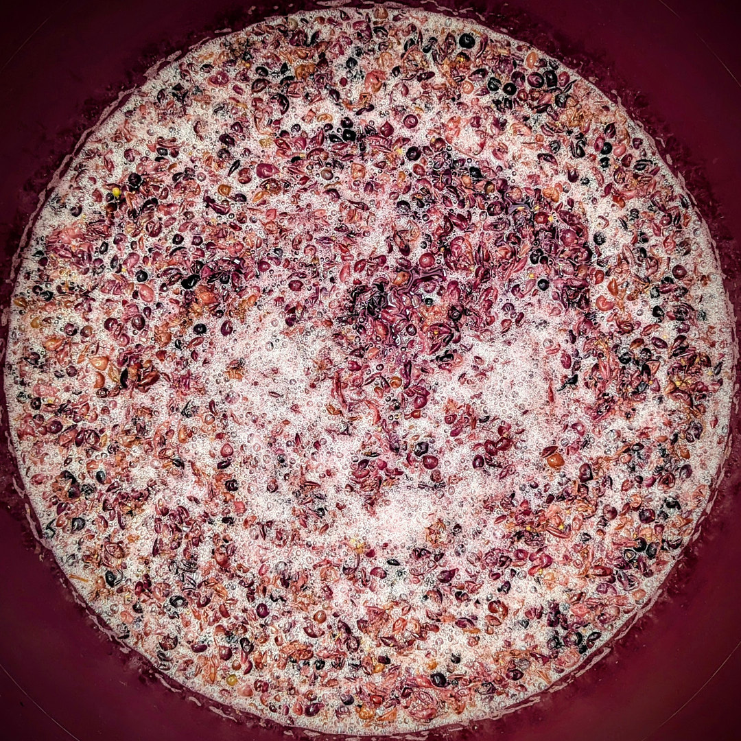 Primary fermentation: Red must fermenting
#negramole #winemakingalgarve