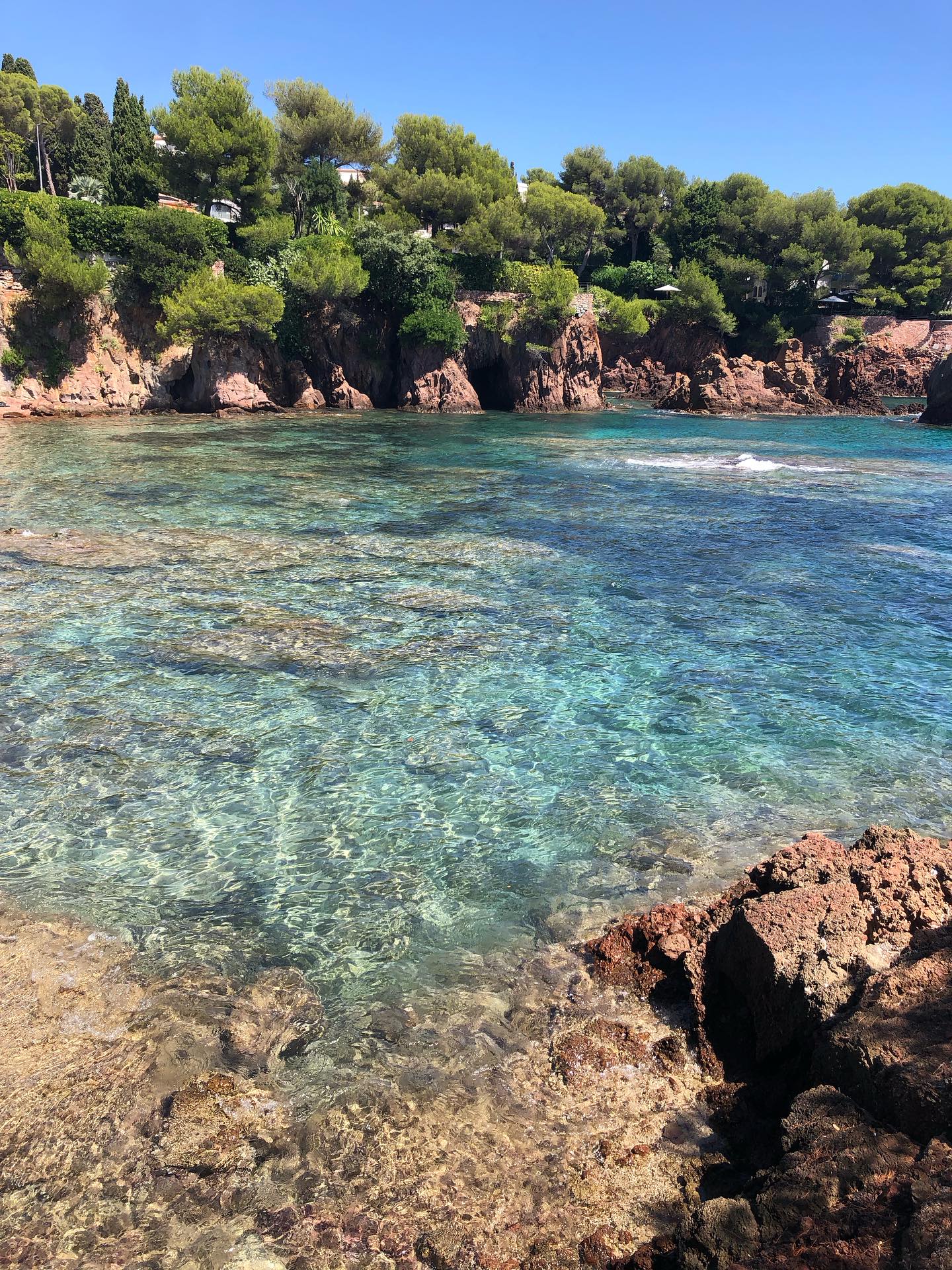 Le sud, ces couleurs ❤️ 🌞
Et toujours -30% sur toute la collection le sud, rdv sur www.lesudatelier.fr
#lesudcestlavie #bijouxcreateurfrançais #criquesauvage #rocherouge #meditteraneanlife #esterelcotedazur #esterellajewels #bijouxmadeinfrance #madeinlesud #createurdusud #creatricebijoux