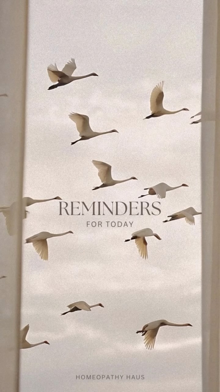 Gentle reminders for today ✨✨
#GentleReminders #DailyReminders #MindfulLiving #HolisticHealing #WellnessJourney #InnerCalm #SelfCareDaily #HealingJourney #NaturalLiving #MindBodySoul #HolisticHealth #NaturalHealing