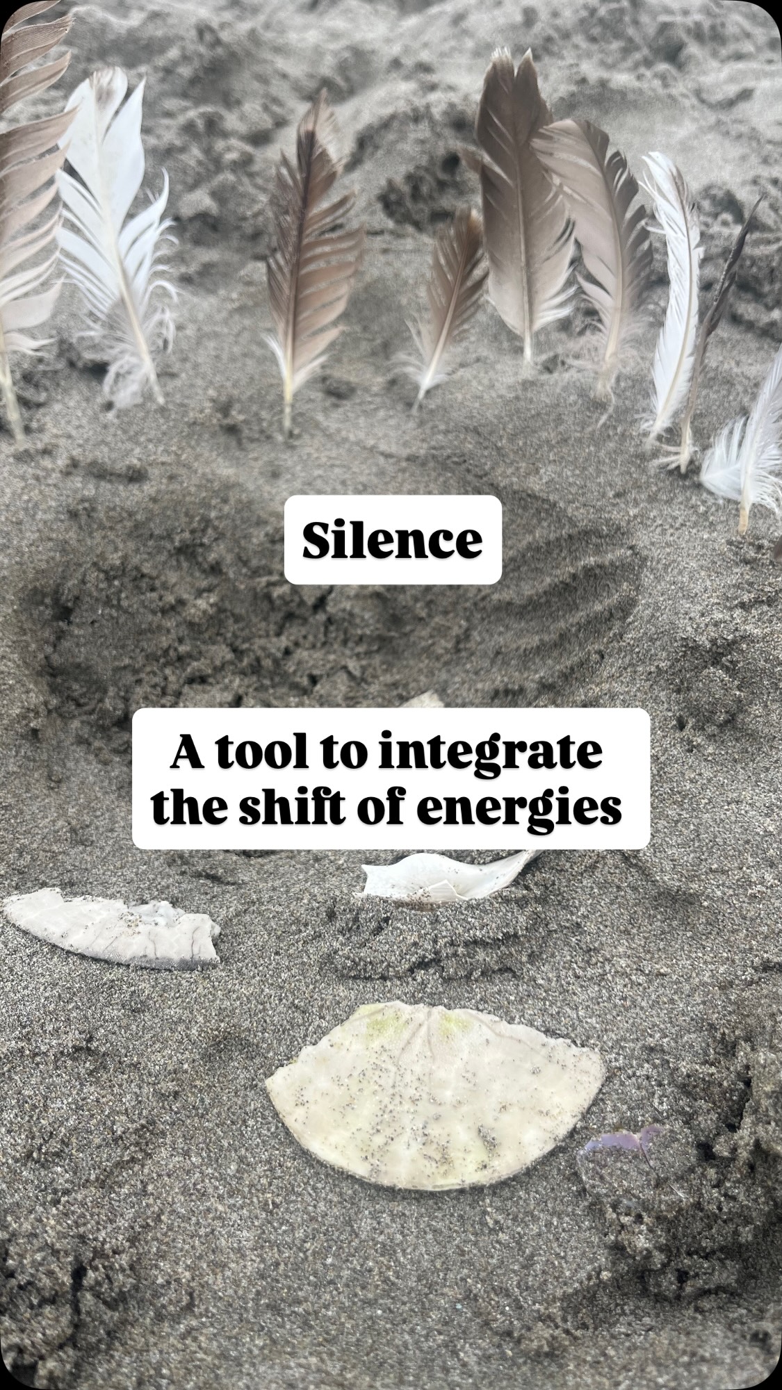 Today, I am showing up here to speak about Silence. Silence helps is to be in State of receptivity. In this period of eclipse where the energies ask us strongly to shift our perception of reality.
If you need a healing session to support you, I have some openings Tuesday from 9am to 3pm / Saturdays and Sundays mornings. Send me a DM for more info or check in my bio .