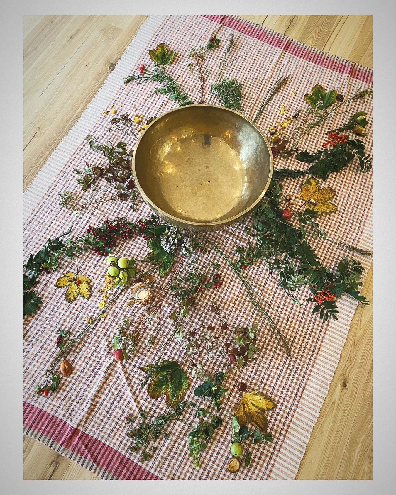 Kom du kære efterår…
Efter at have tilbragt formiddagen i en rituel sensommer sammenkomst, fik jeg lyst til dels at dele et billede fra seancen - et smukt stilleben fra naturens skatte, anrettet af Anne Lassen.
Men også gengive en tekst om efterårets energier, så vi langsomt begynder at omstille og hengive os til denne mere indadvente periode:
Når bladende begynder at falde af træerne og vinden rusker i os, er efteråret på vej. Her på denne tid af året, tager alting form og der kommer balance i forholdende.
I denne periode bør du gå tideligt i seng og stå tideligt op. Fokuser på at holde dit sind i fred og ro - for at modvirke de dræbende virkninger, som efteråret kan bringe med sig.
Det er med andre ord tid til at vende sig indad og nedtone tendensen til at strejfe om i det ydre liv.
Træk vejret og rens lungerne, for de vil ellers blive svækket og gøre vinteren svær at “fordøje”.
Kilde: Den gule Kejsers klassiker
🔸🍁🔸
______________________________________
#resonans
#efterår
#selvbevidsthed
#alignment
#essens
#frekvensarbejde
#autencitet
#vibration
#bevidsthedsarbejde
#selvudvikling
#kærlighed
#kenddigselv
#selvomsorg
#hjertesager
#solarplexusevolution